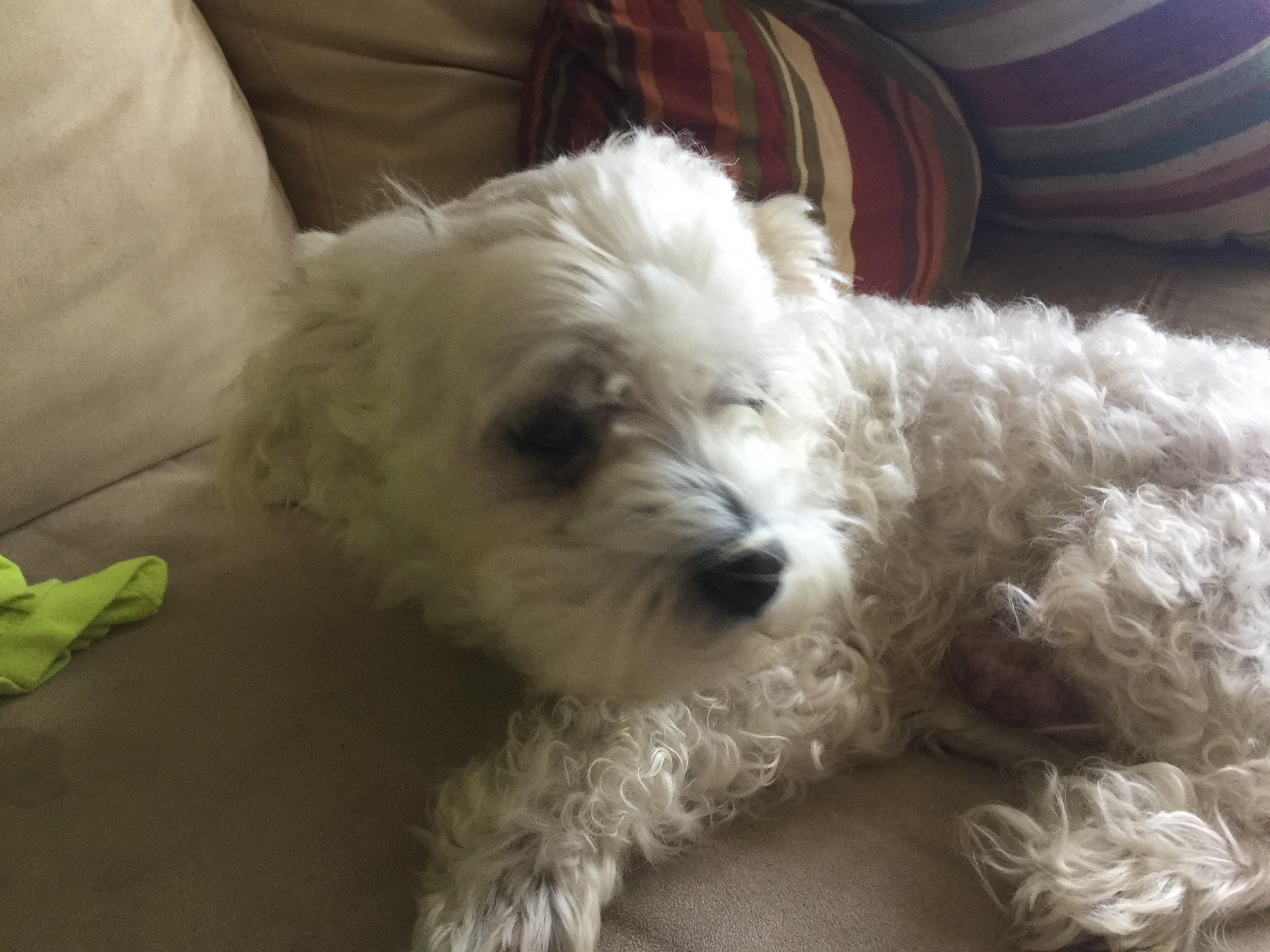 Question details sensitive content