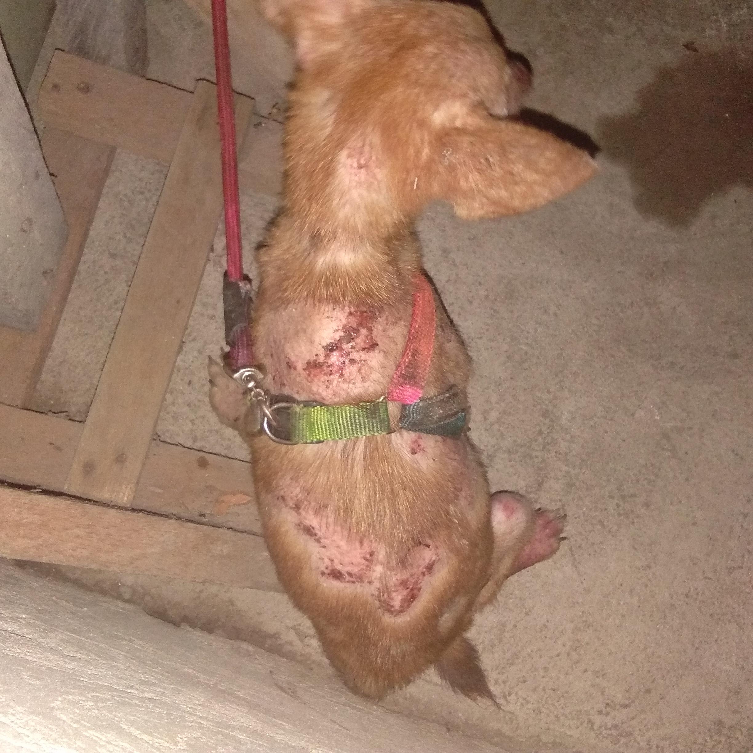 Question details sensitive content