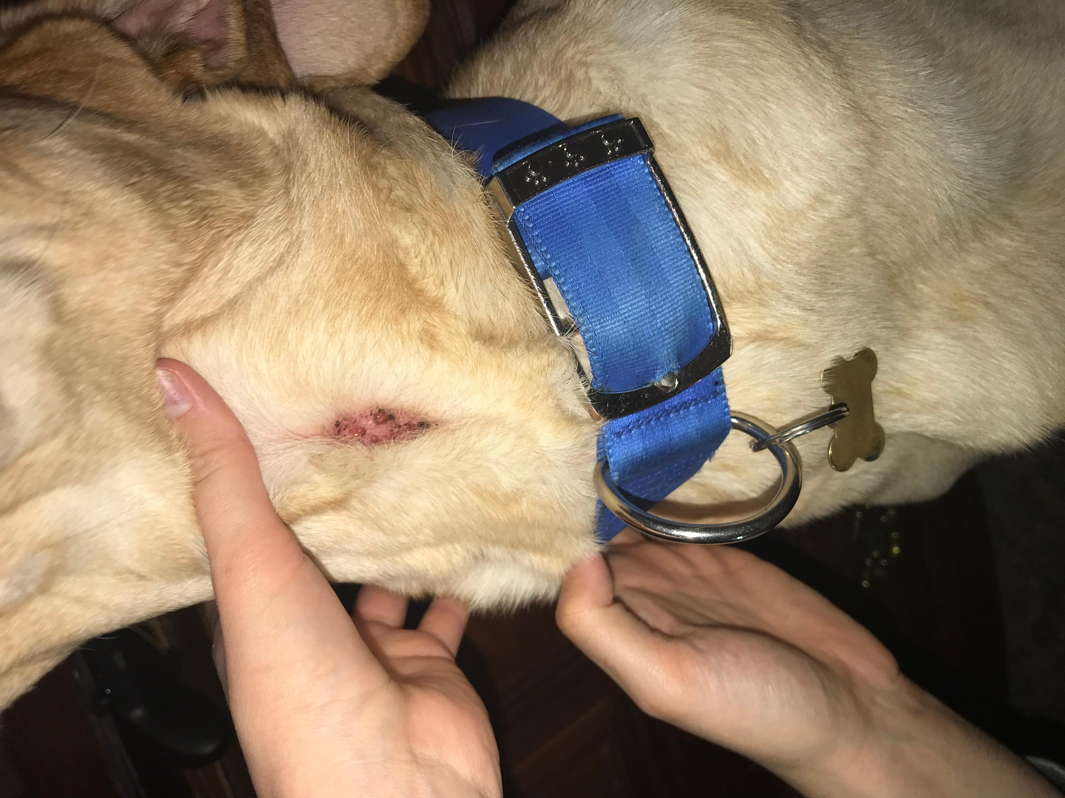 Question details sensitive content