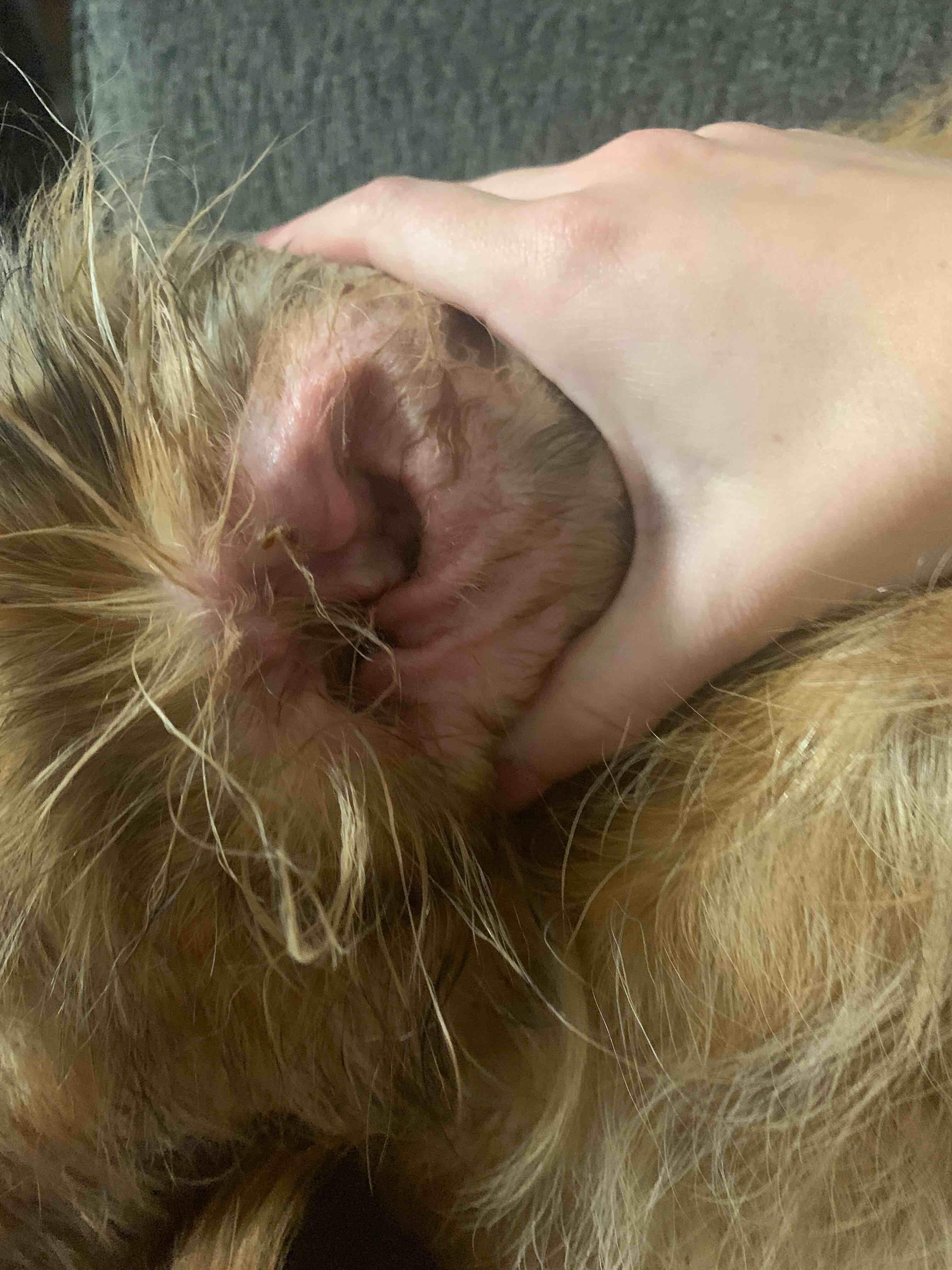 Question details sensitive content