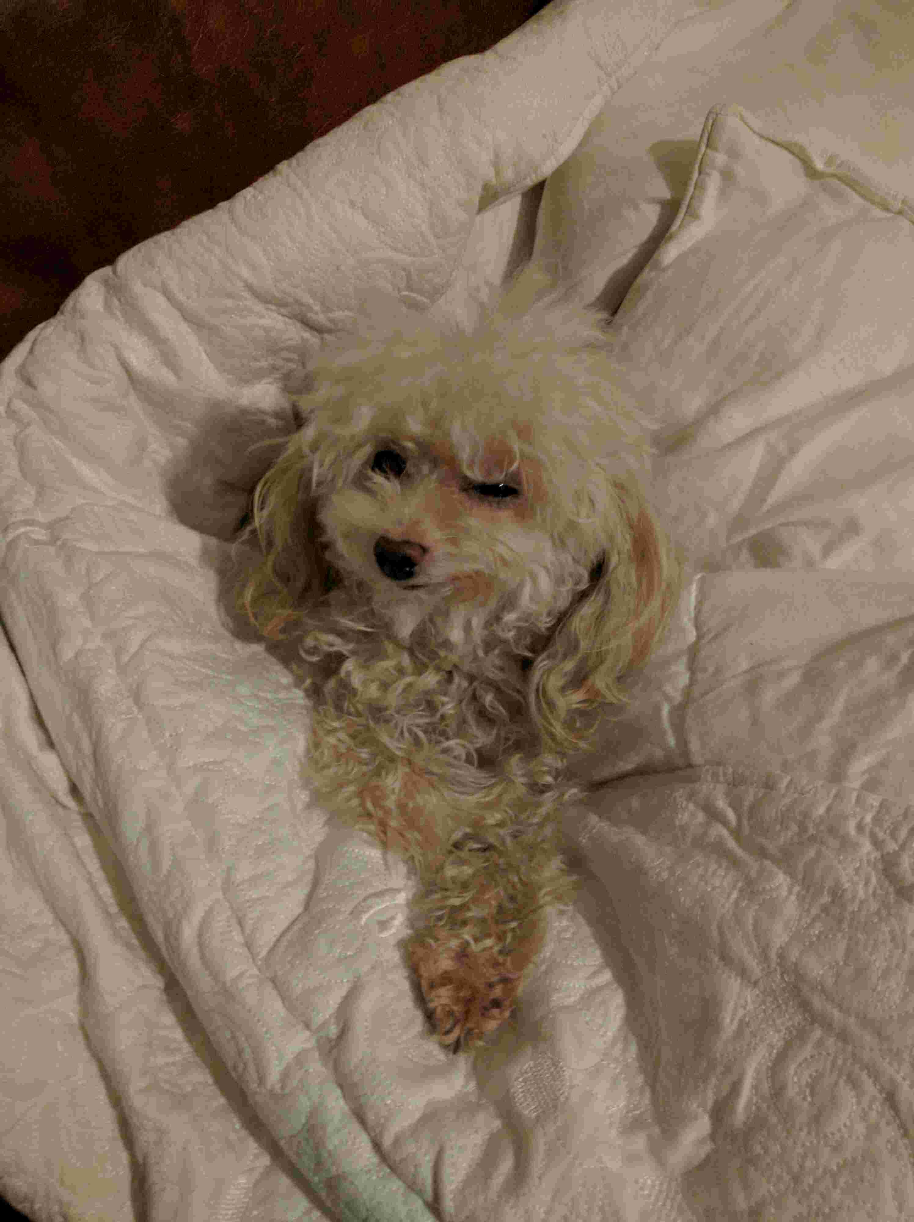 Question details sensitive content