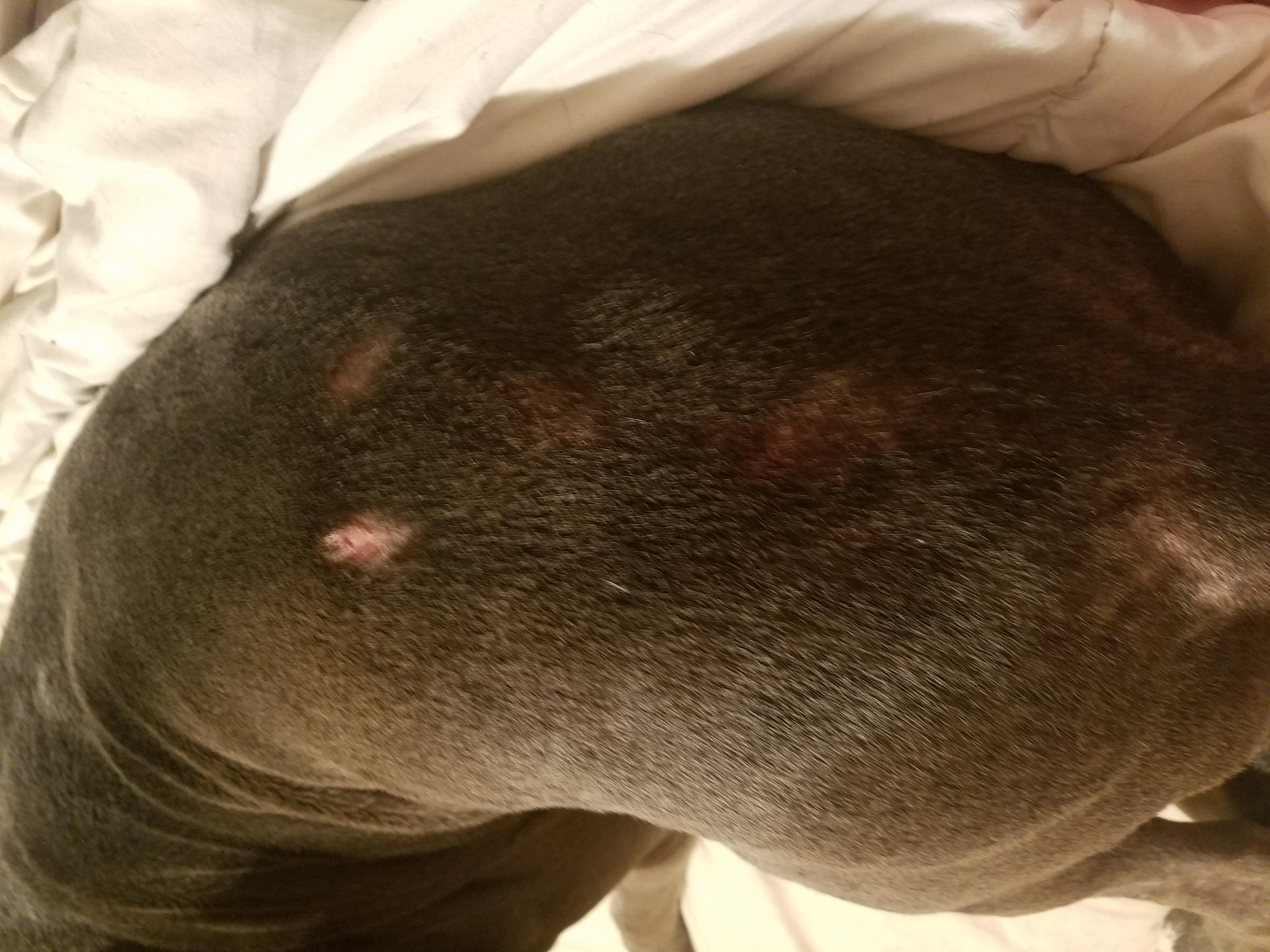 Question details sensitive content