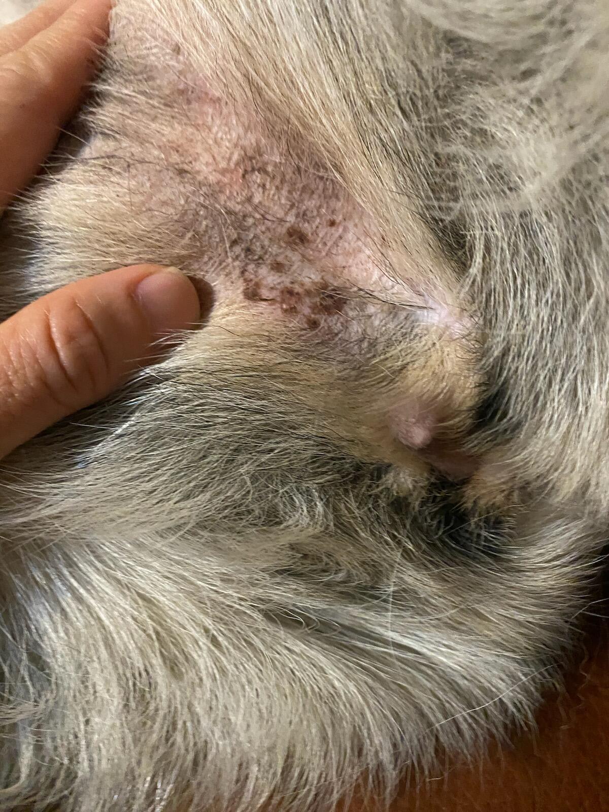 Question details sensitive content