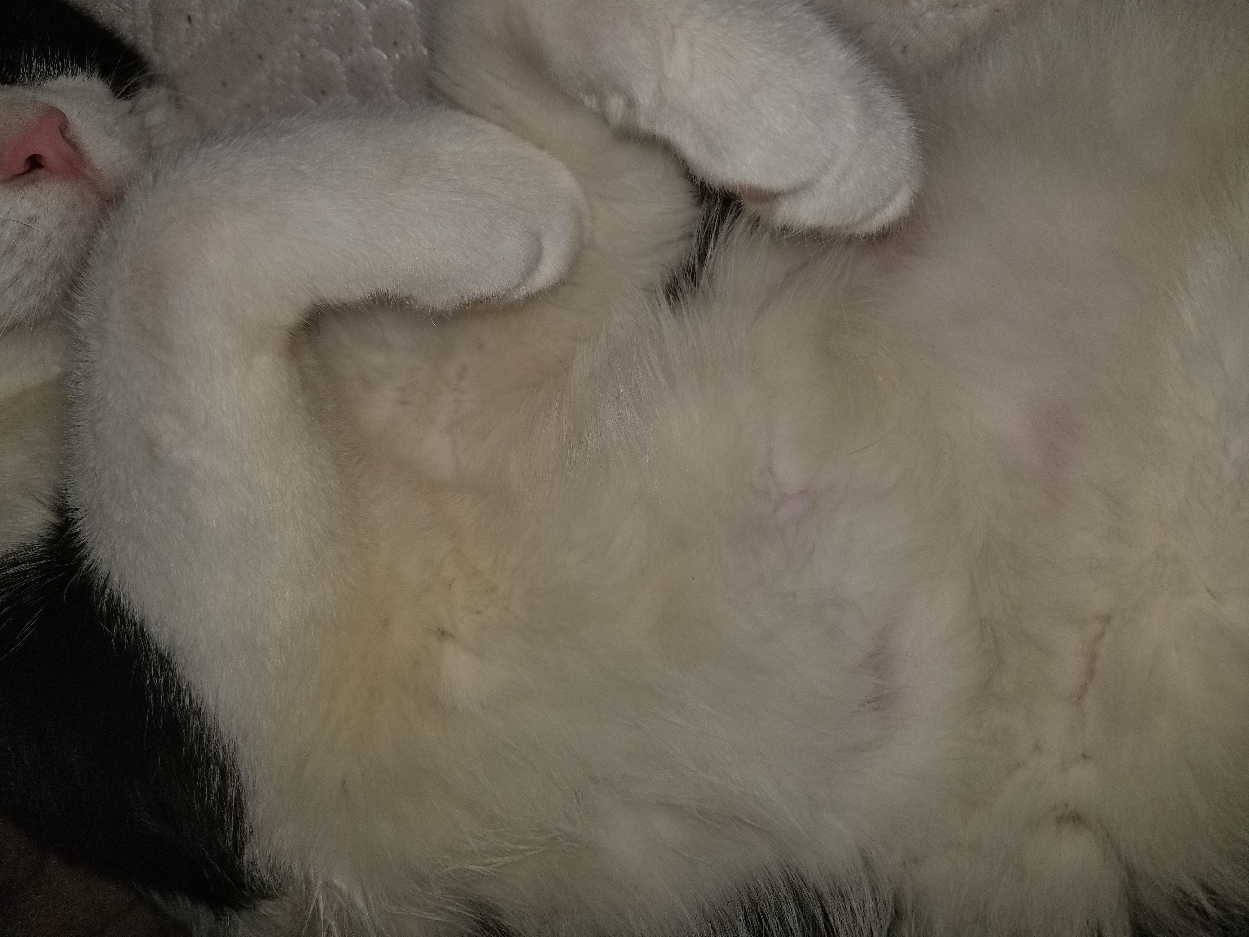 Question details sensitive content