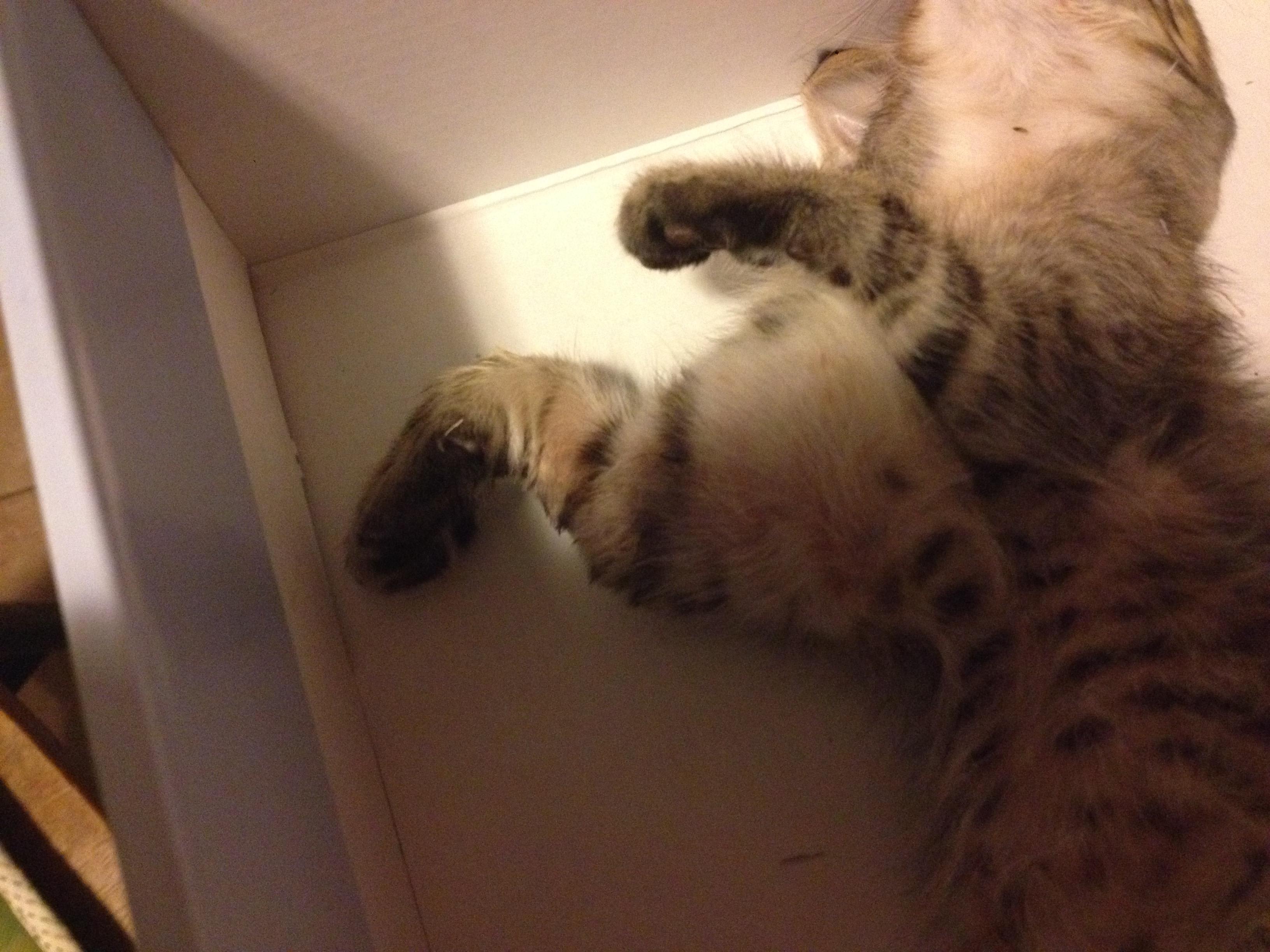 Question details sensitive content