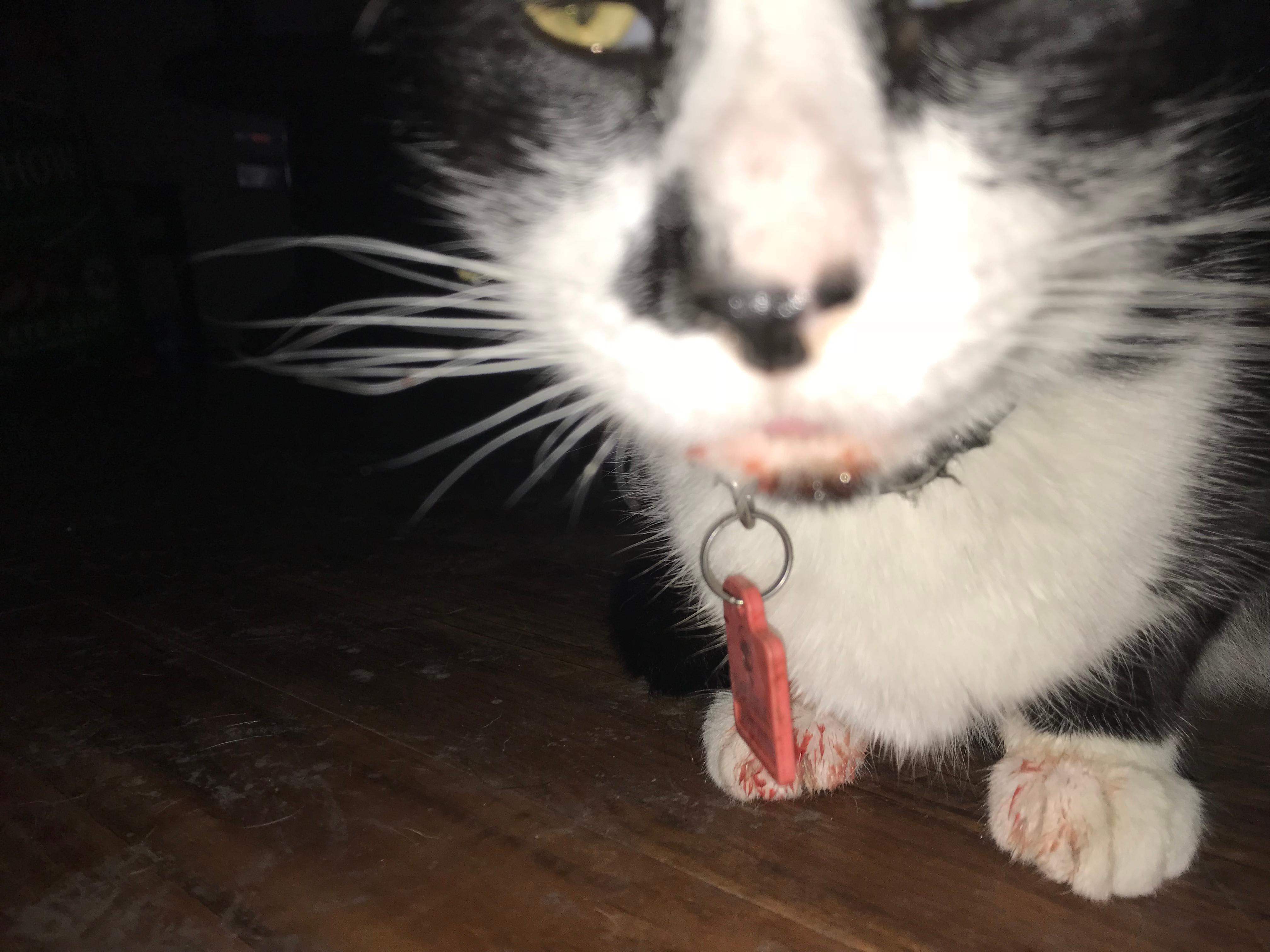 Question details sensitive content