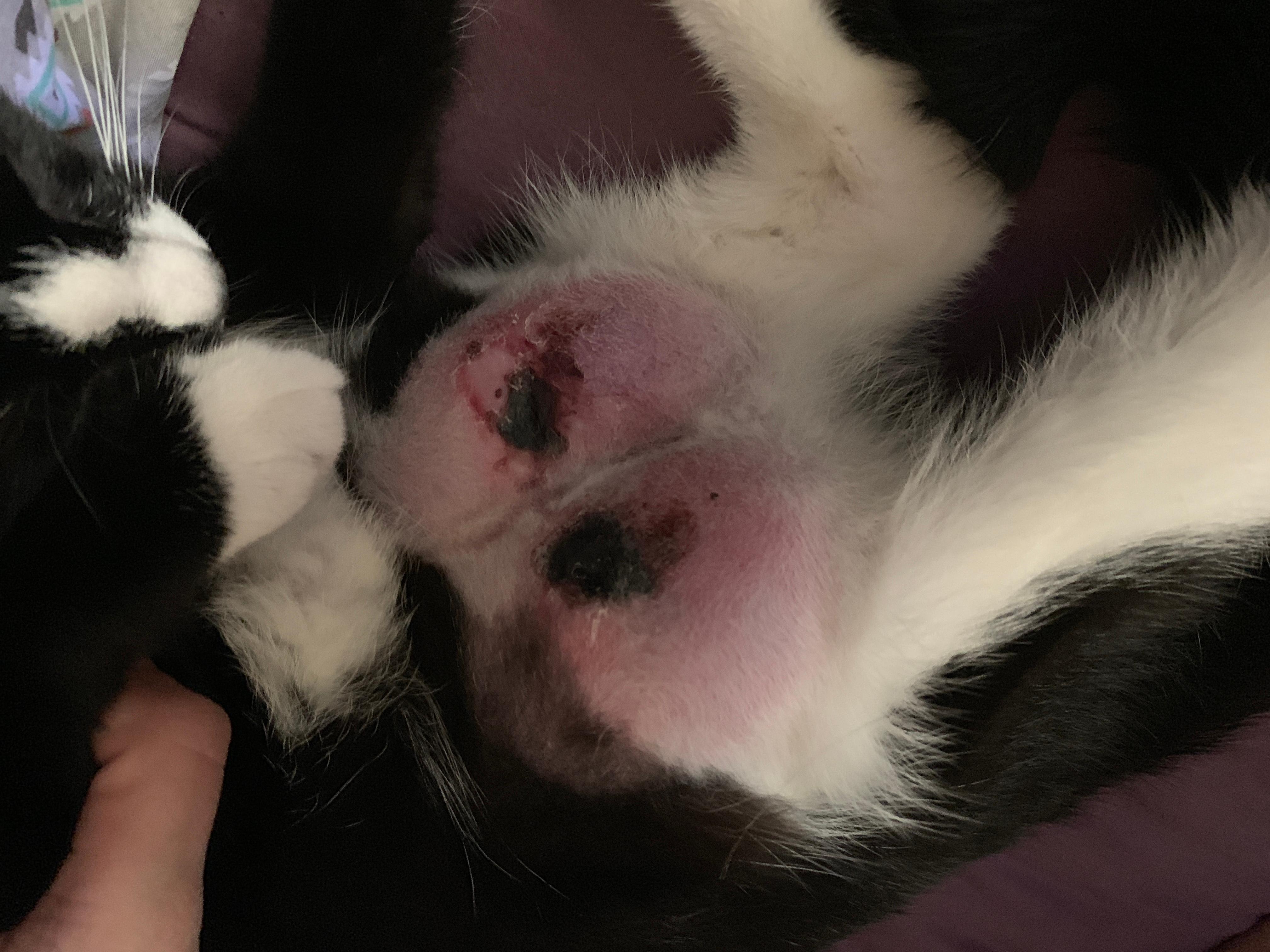 Question details sensitive content