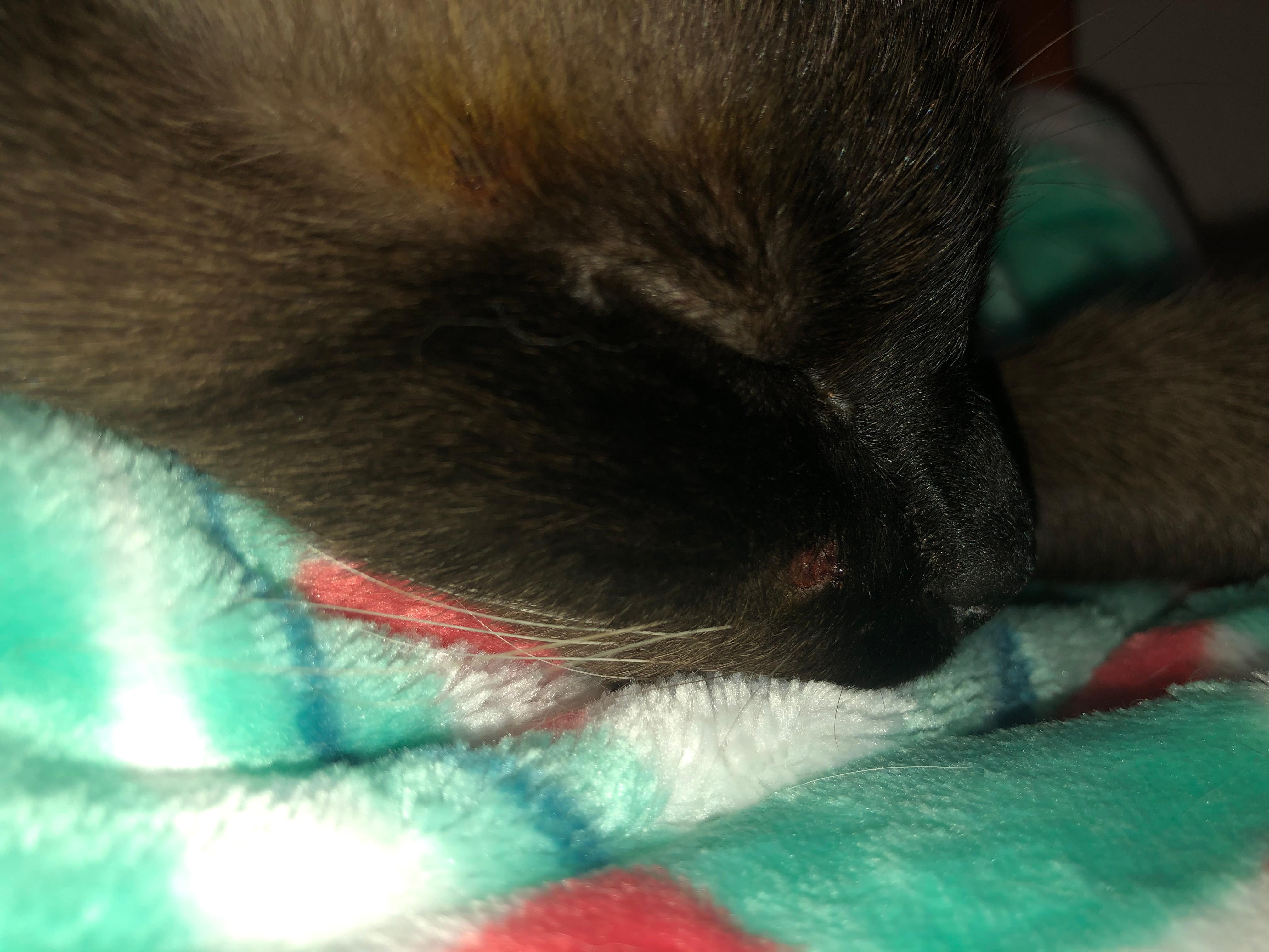 Question details sensitive content