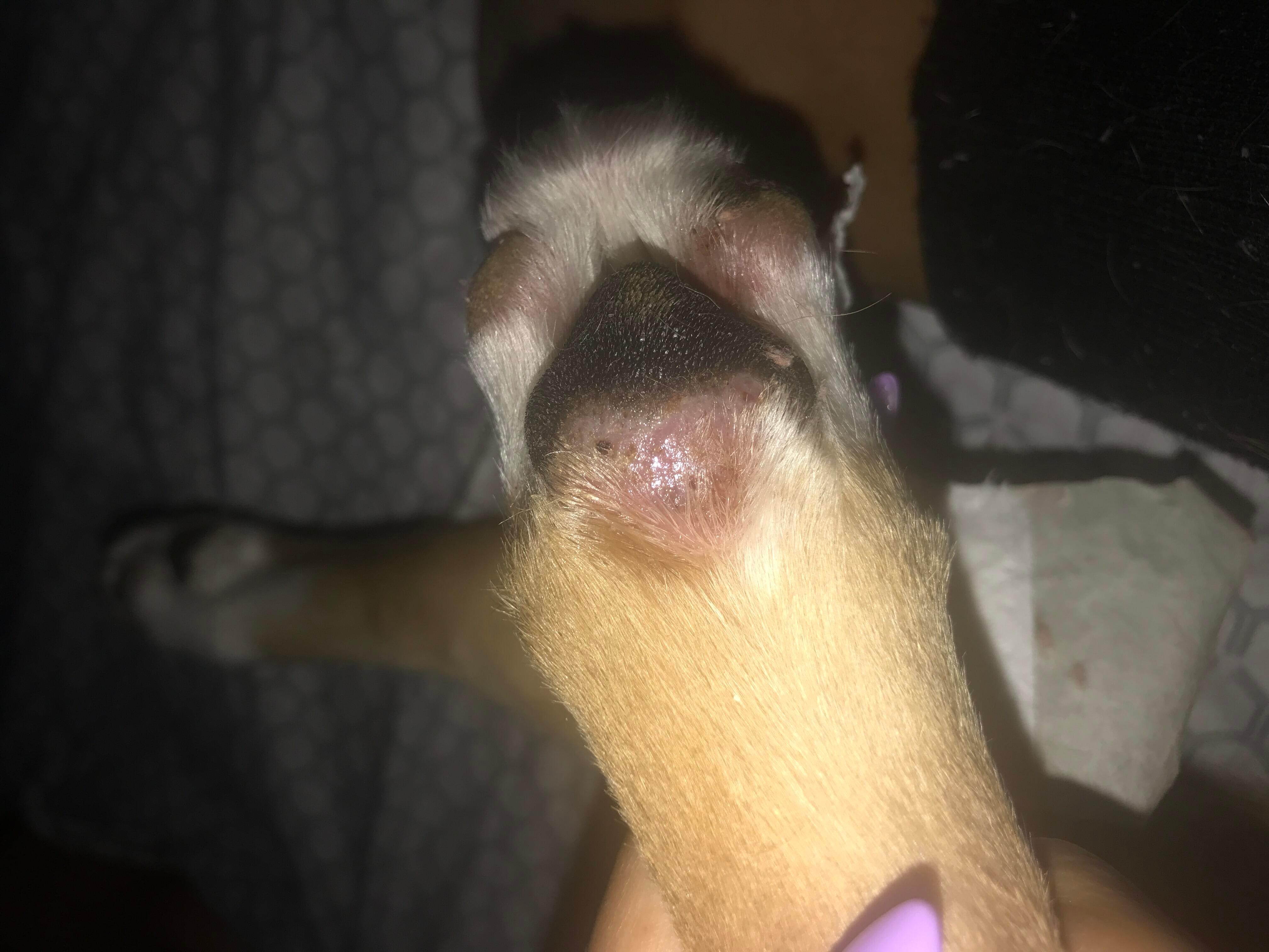 Question details sensitive content