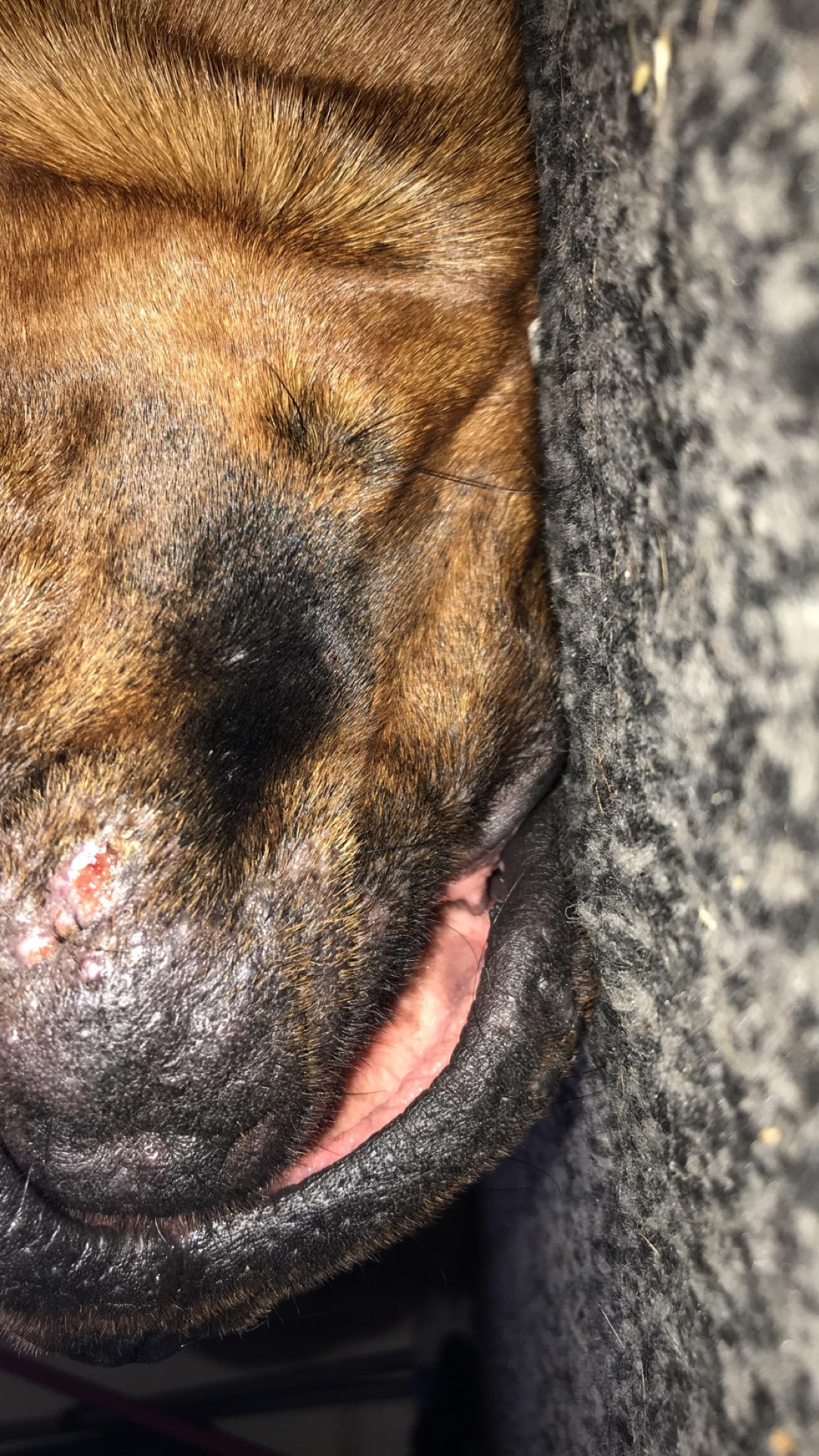 Question details sensitive content