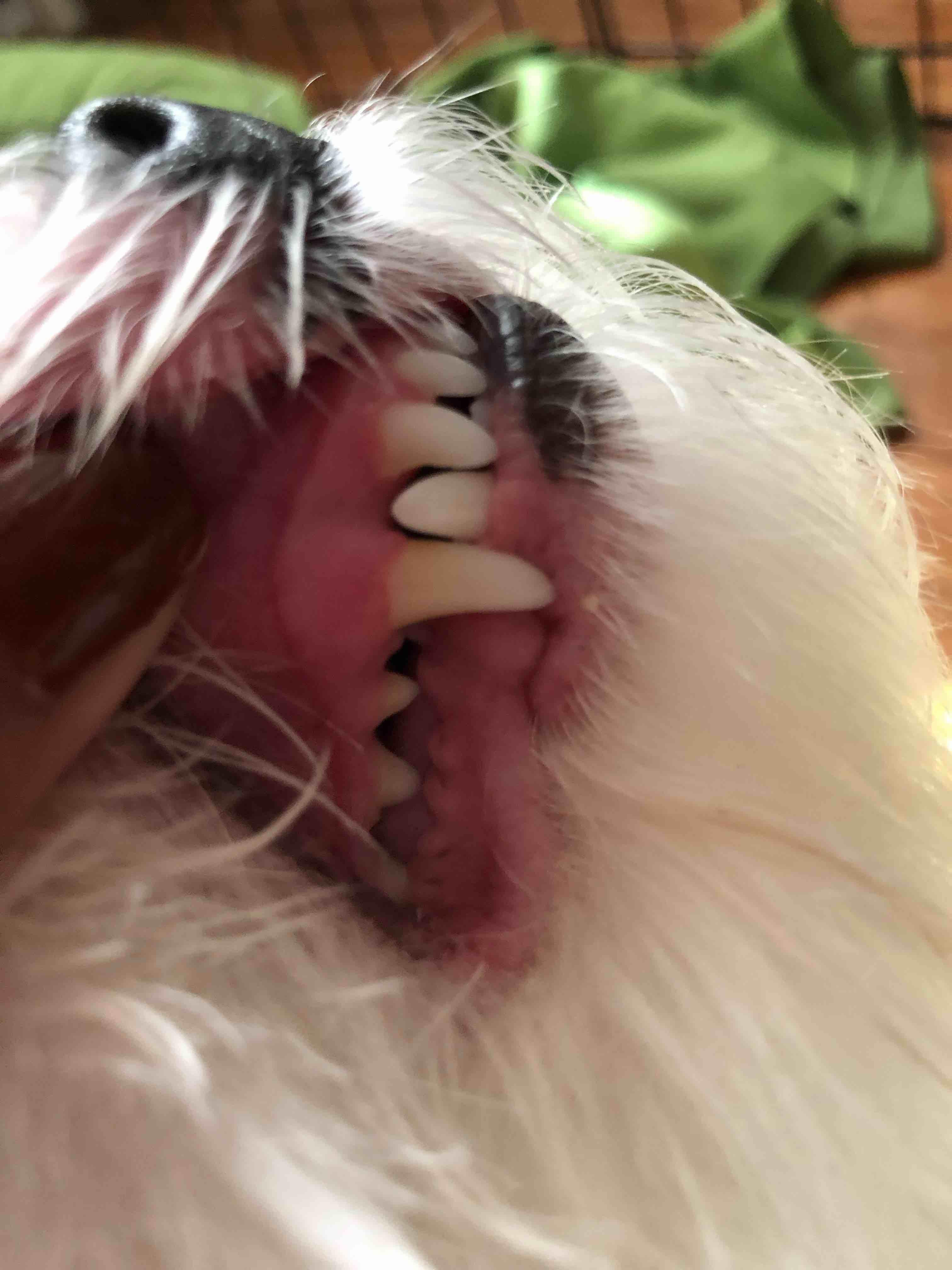 Question details sensitive content