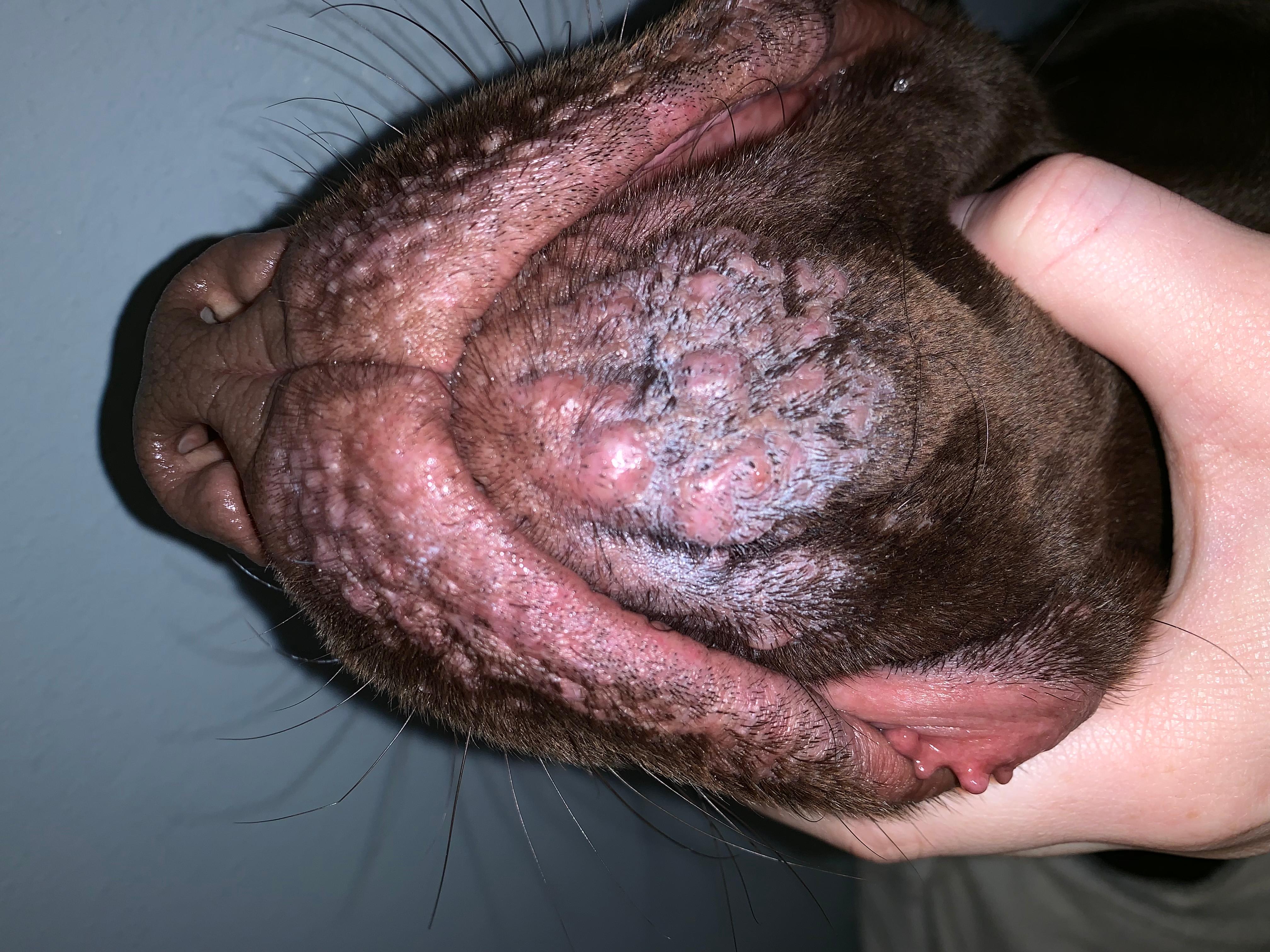 Question details sensitive content