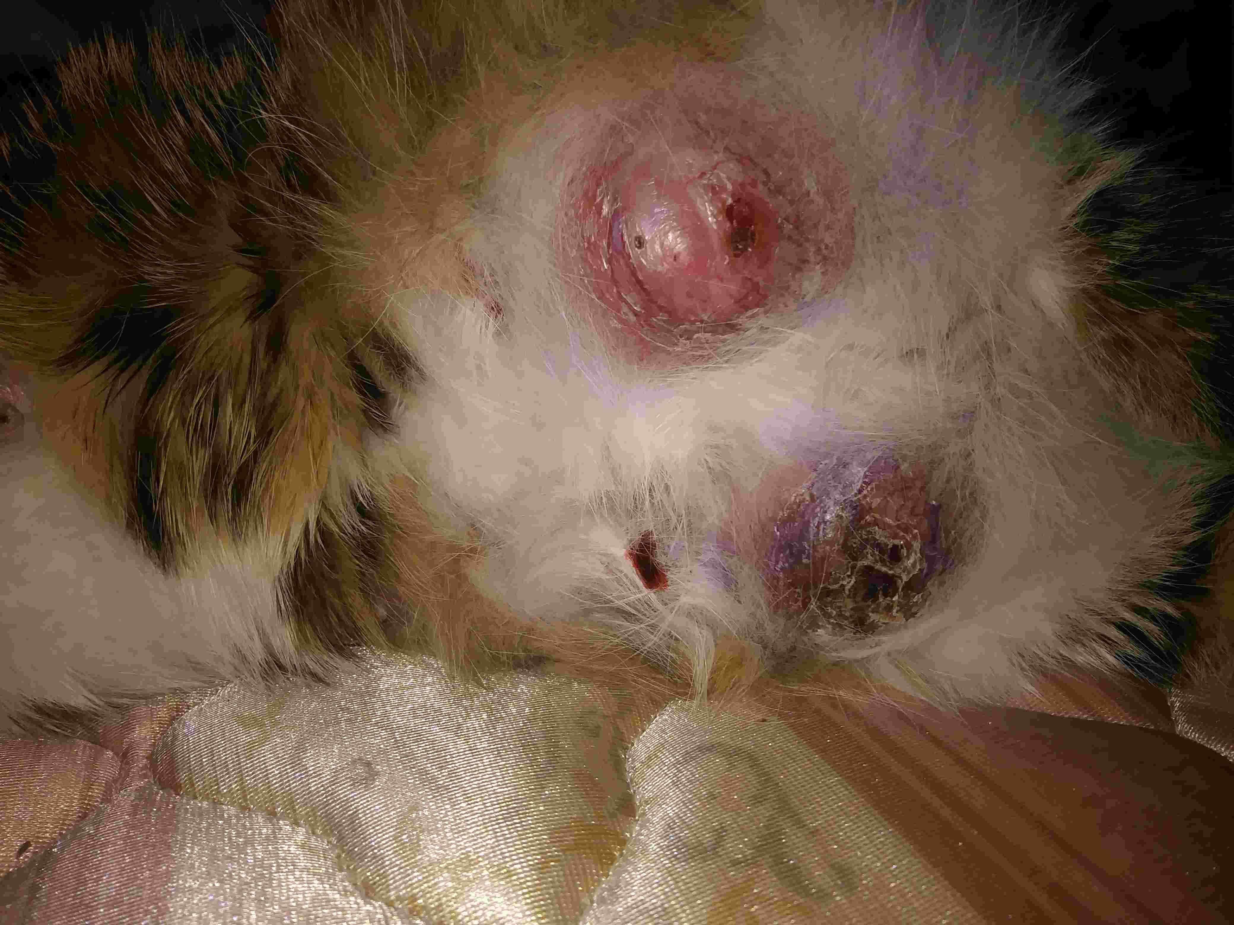 Question details sensitive content