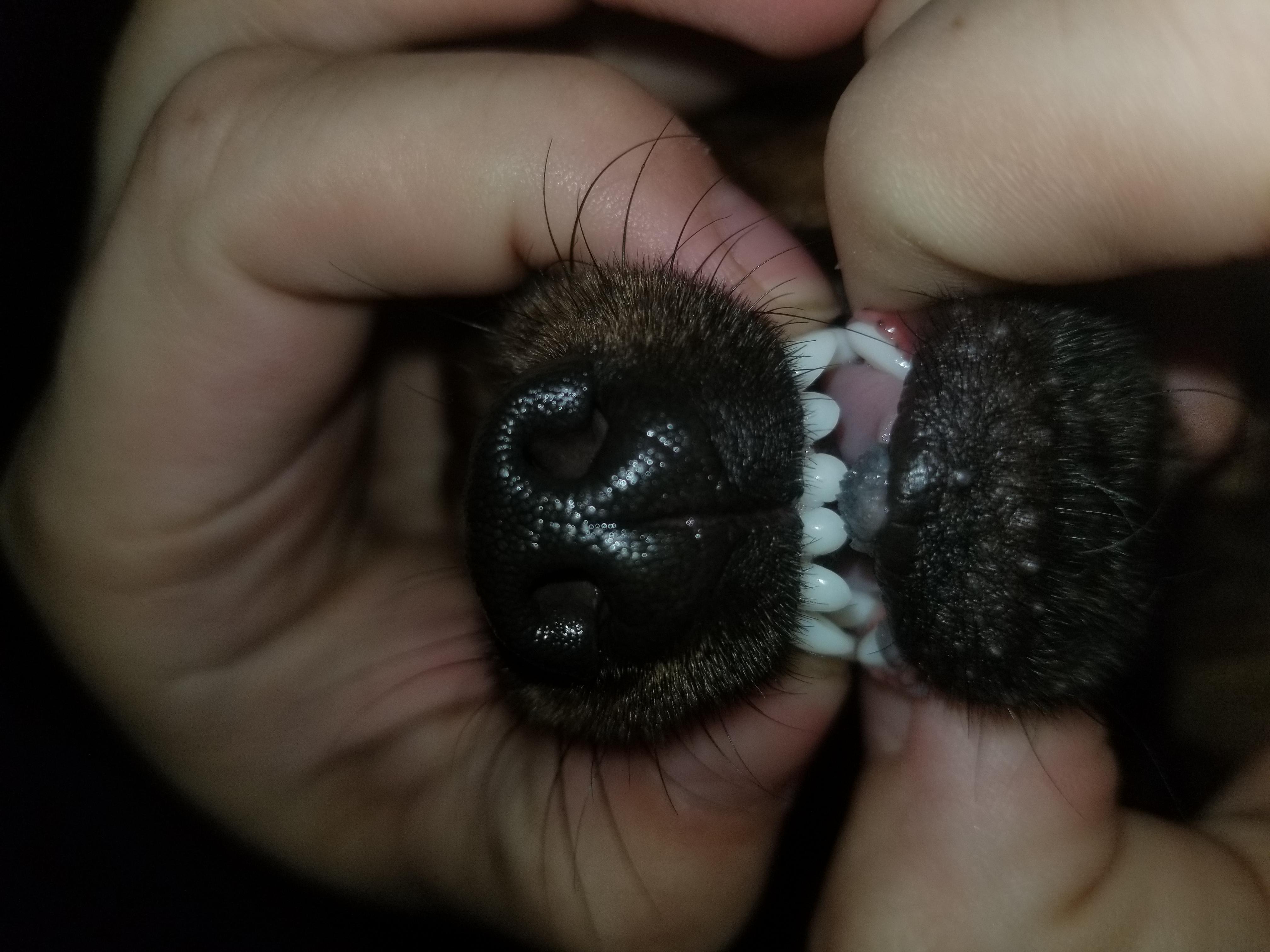 Question details sensitive content