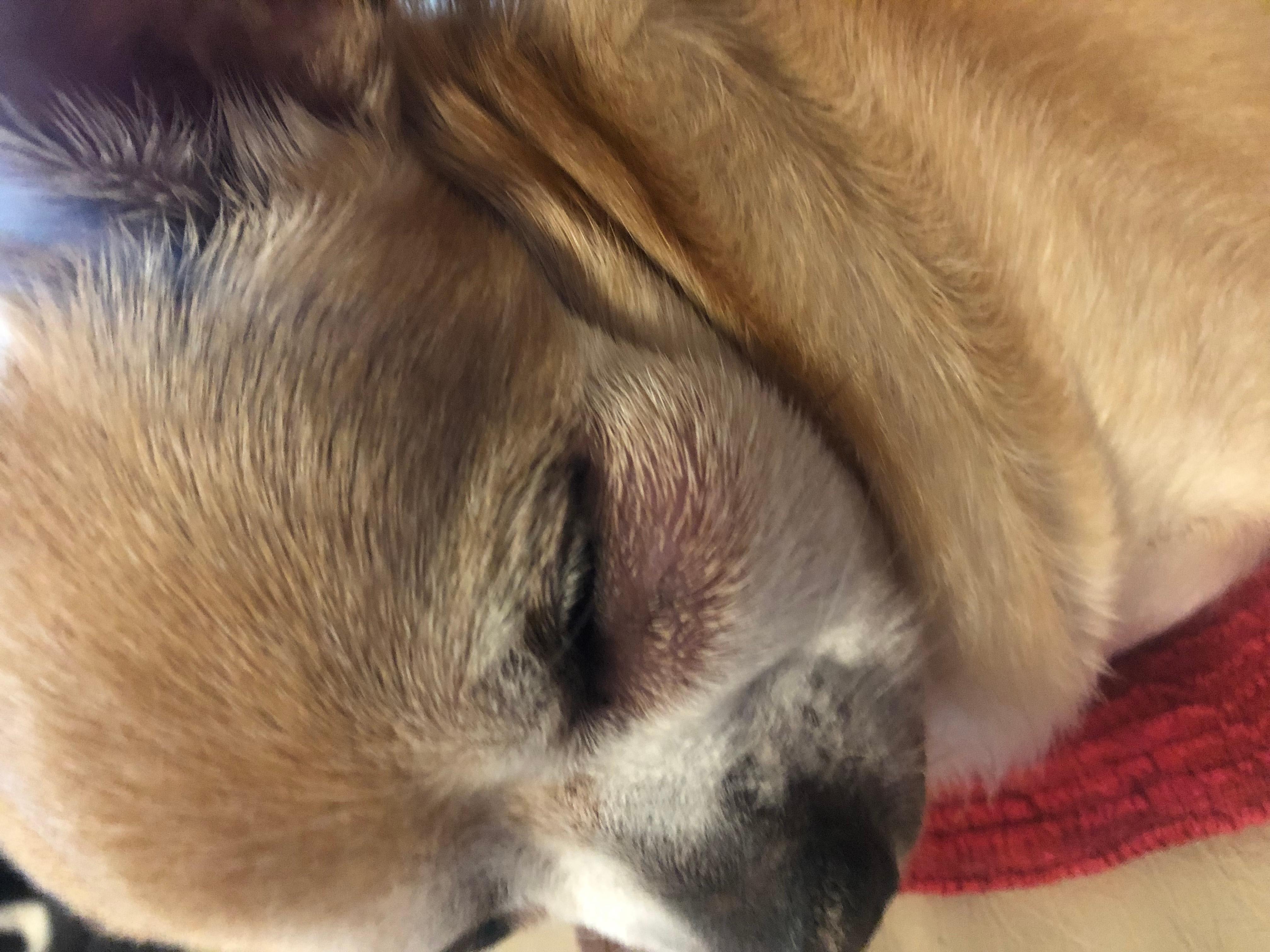 Question details sensitive content