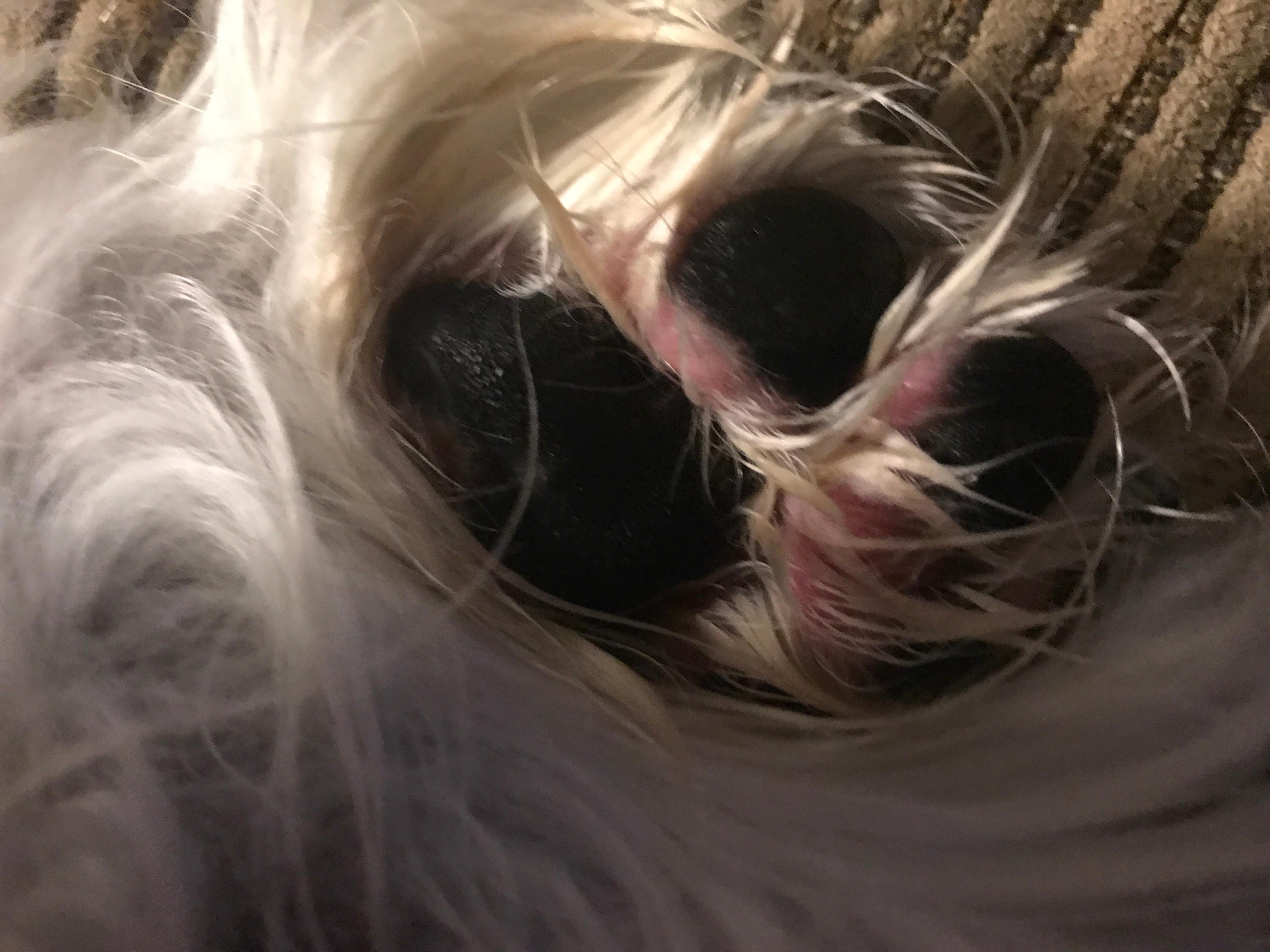 Question details sensitive content