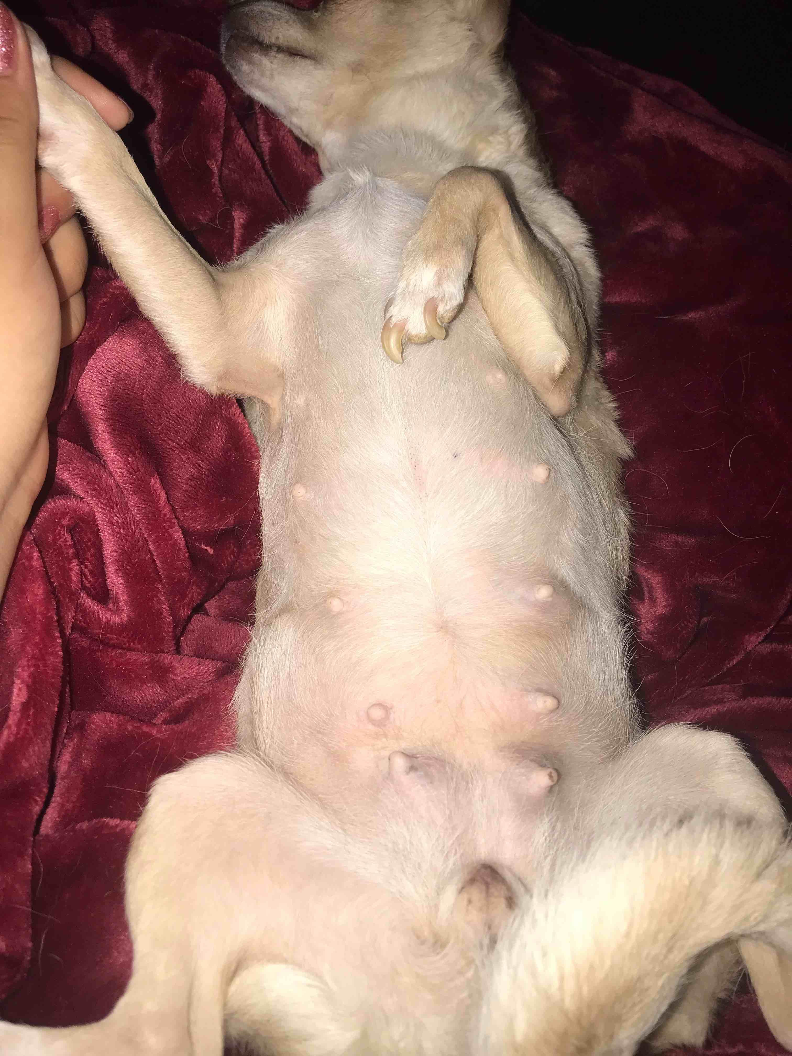 Question details sensitive content