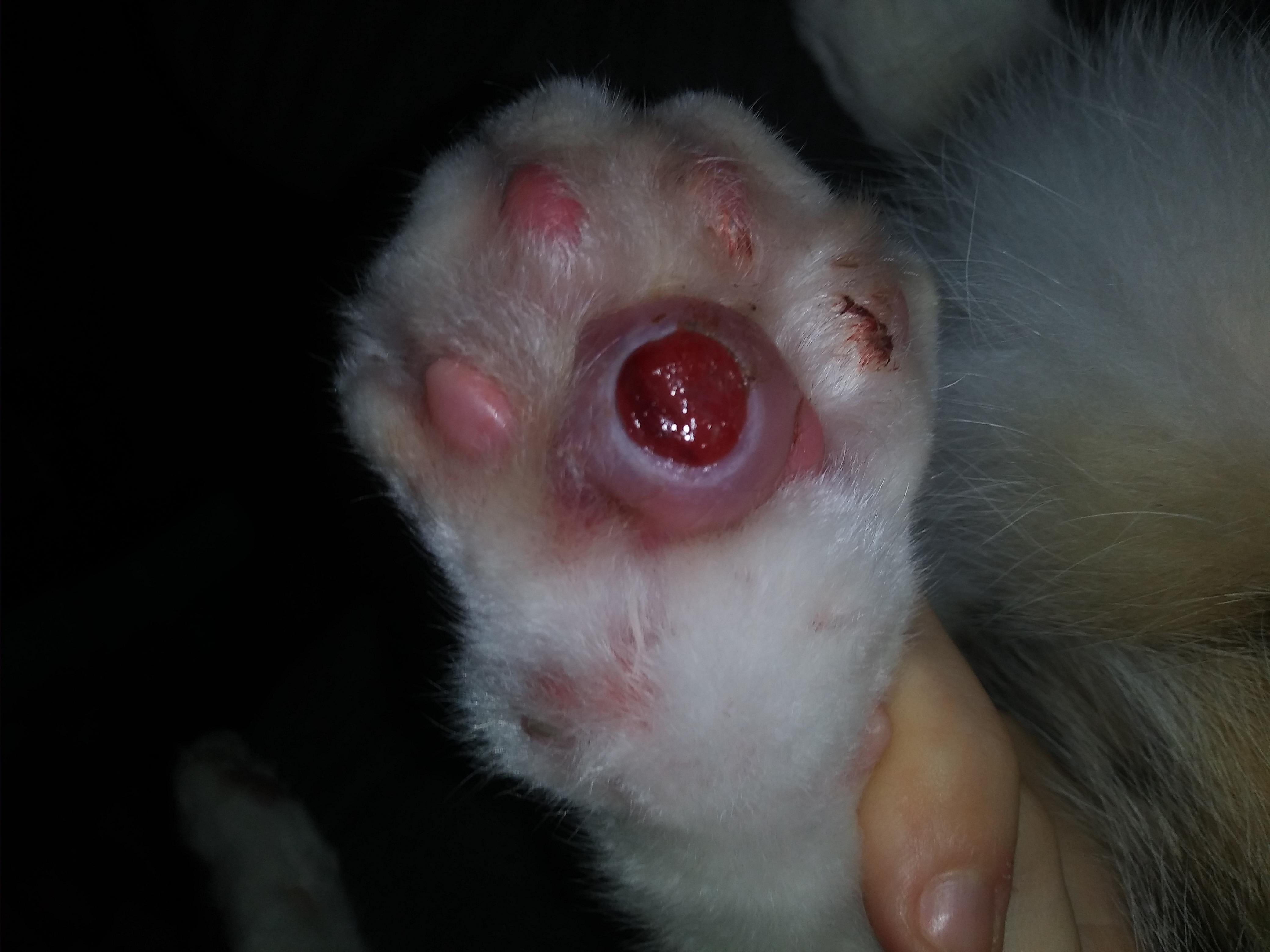 Question details sensitive content