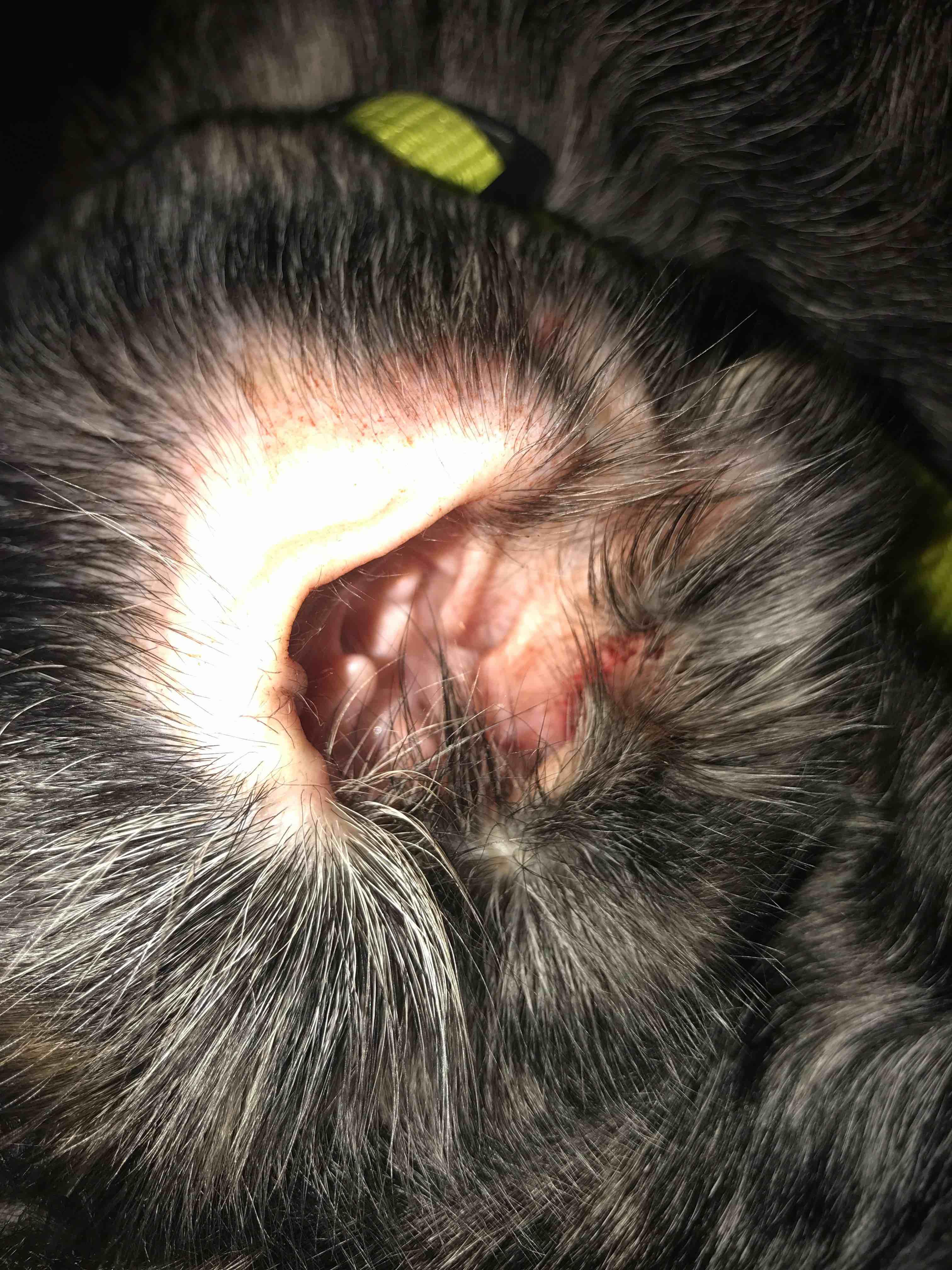 Question details sensitive content