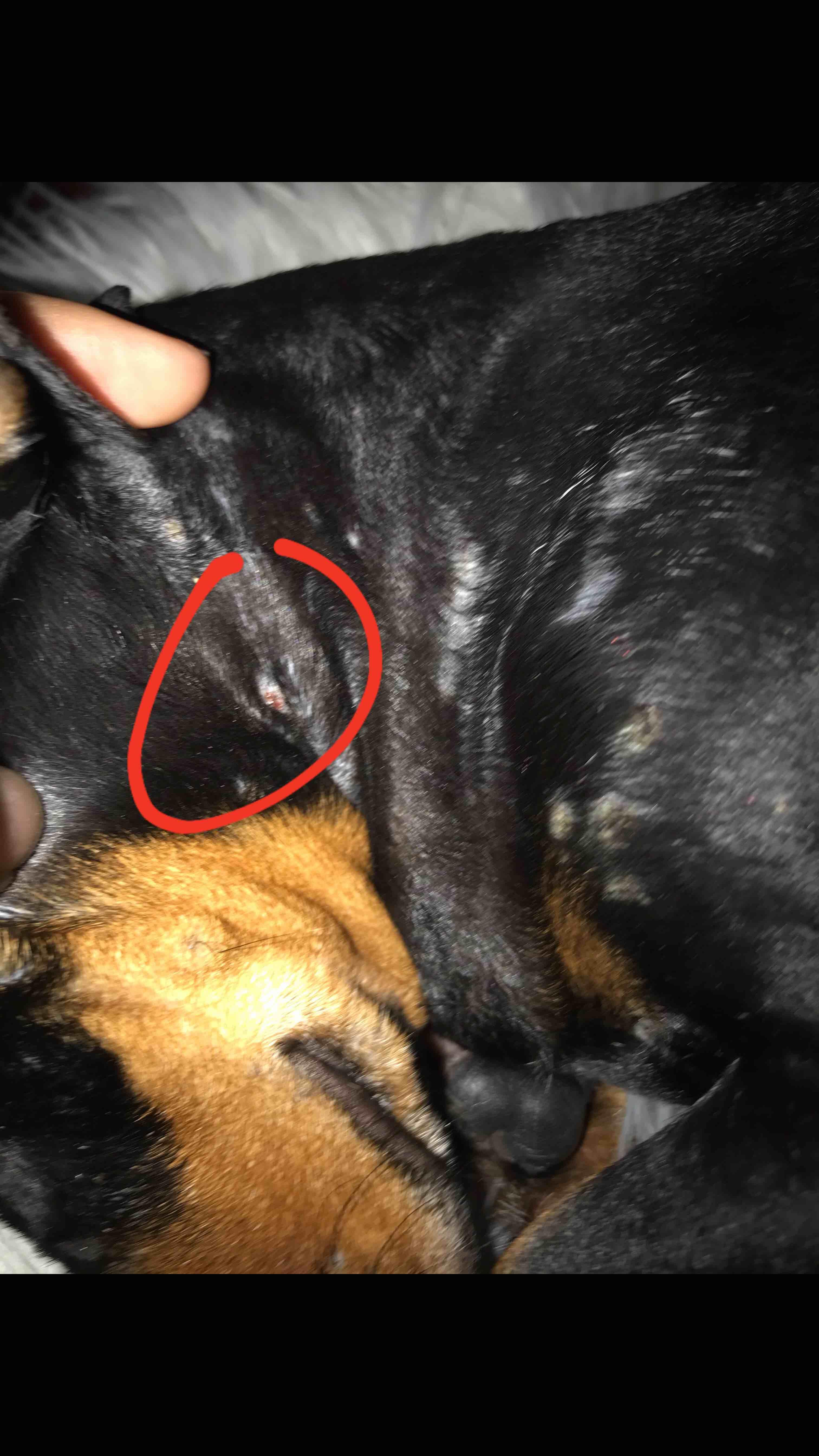 Question details sensitive content