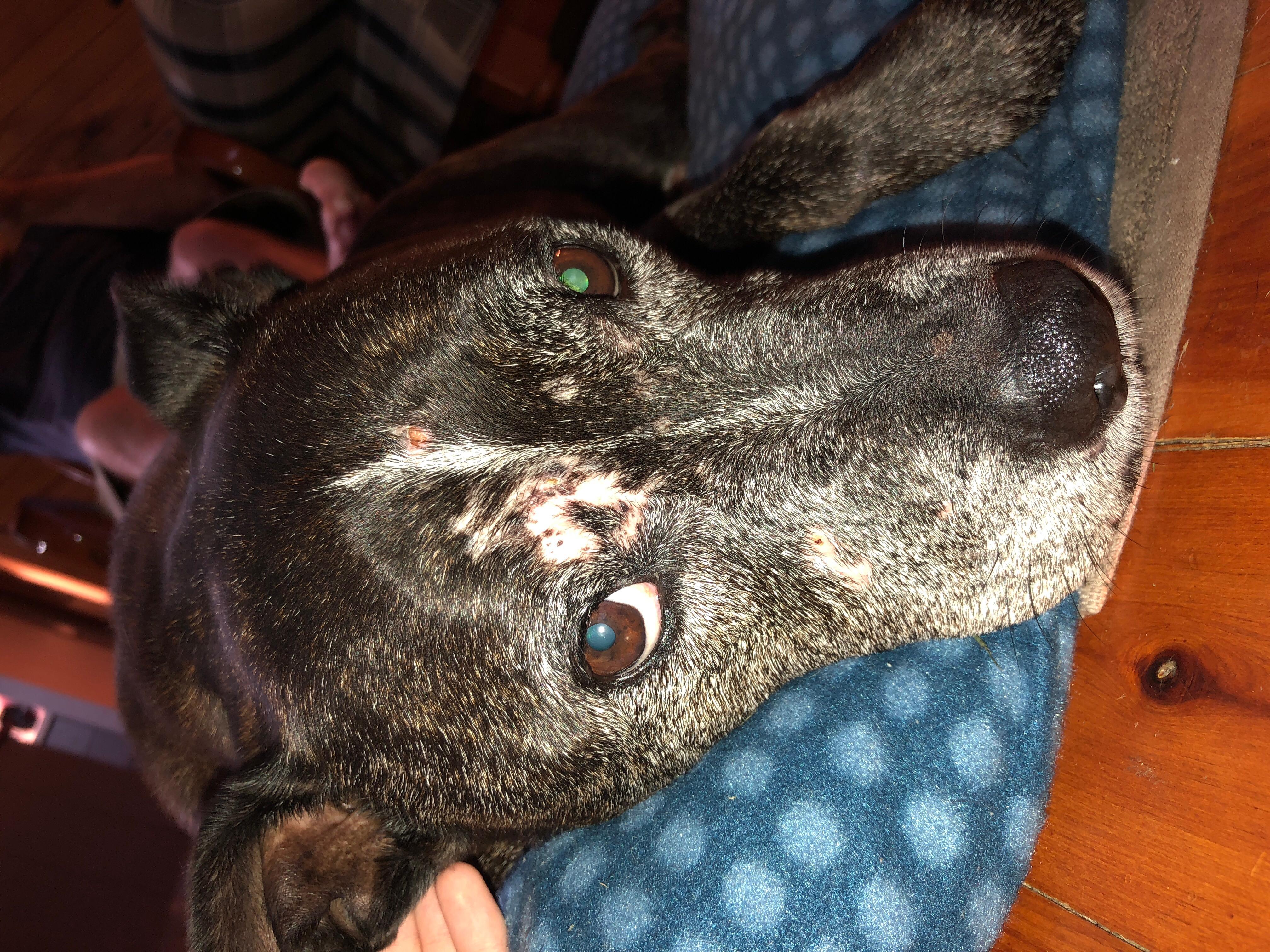 Question details sensitive content