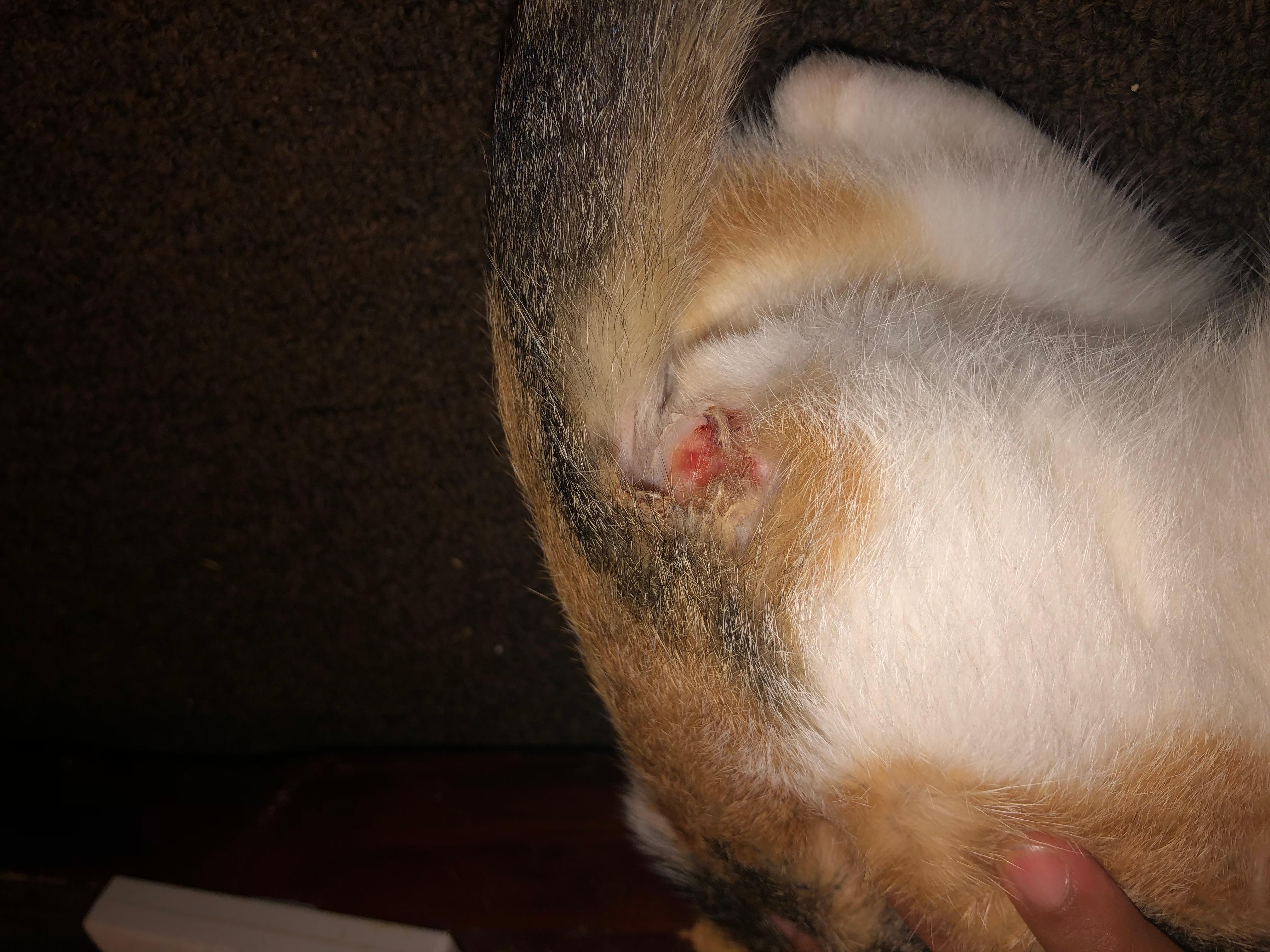 Question details sensitive content