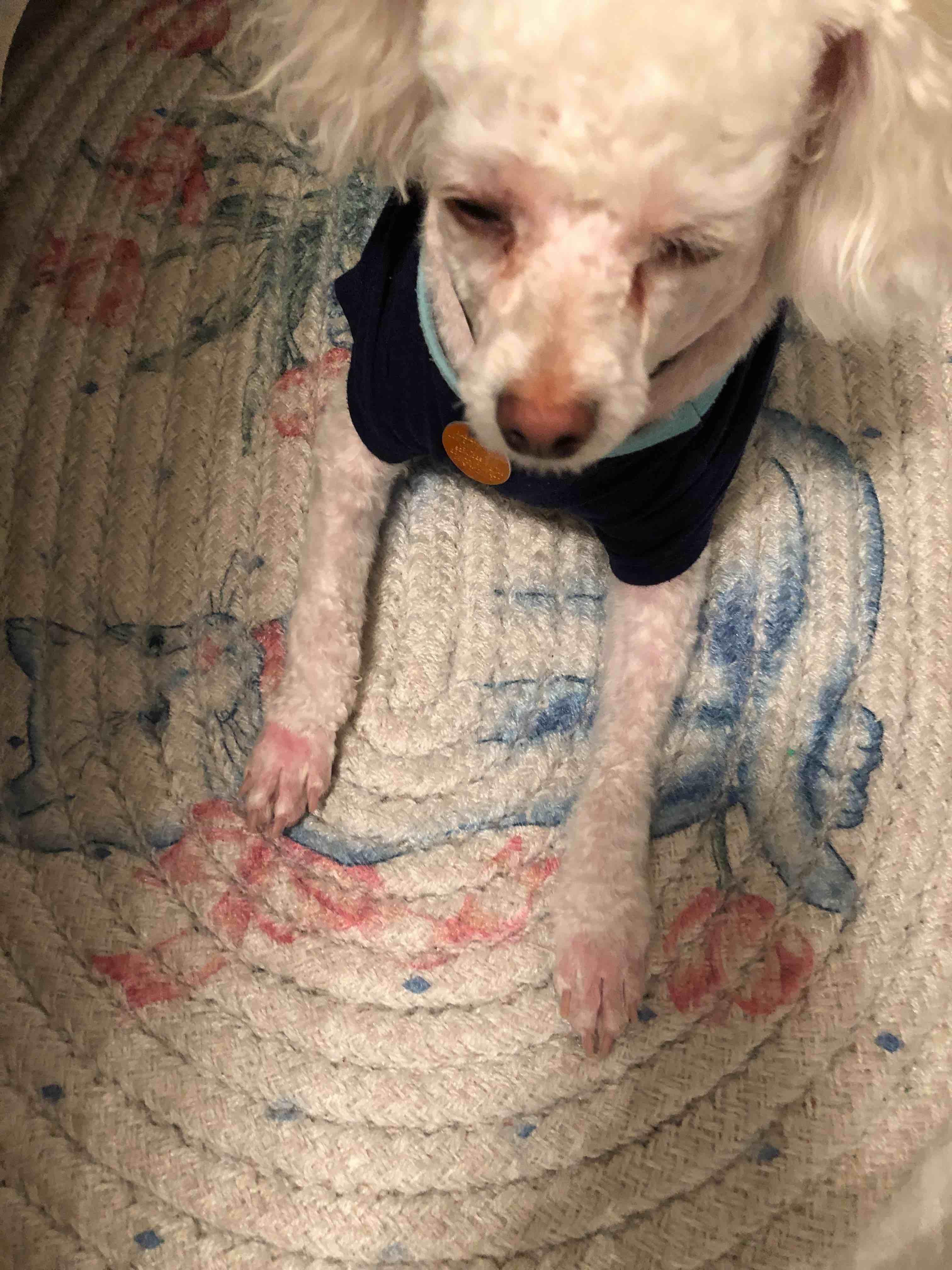 Question details sensitive content