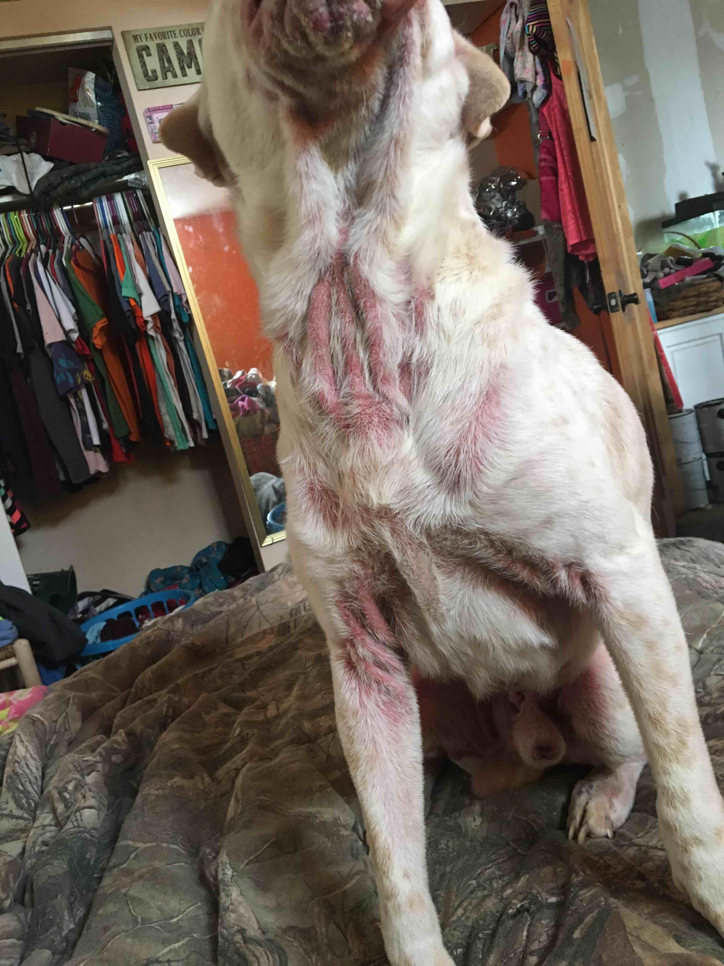 Question details sensitive content