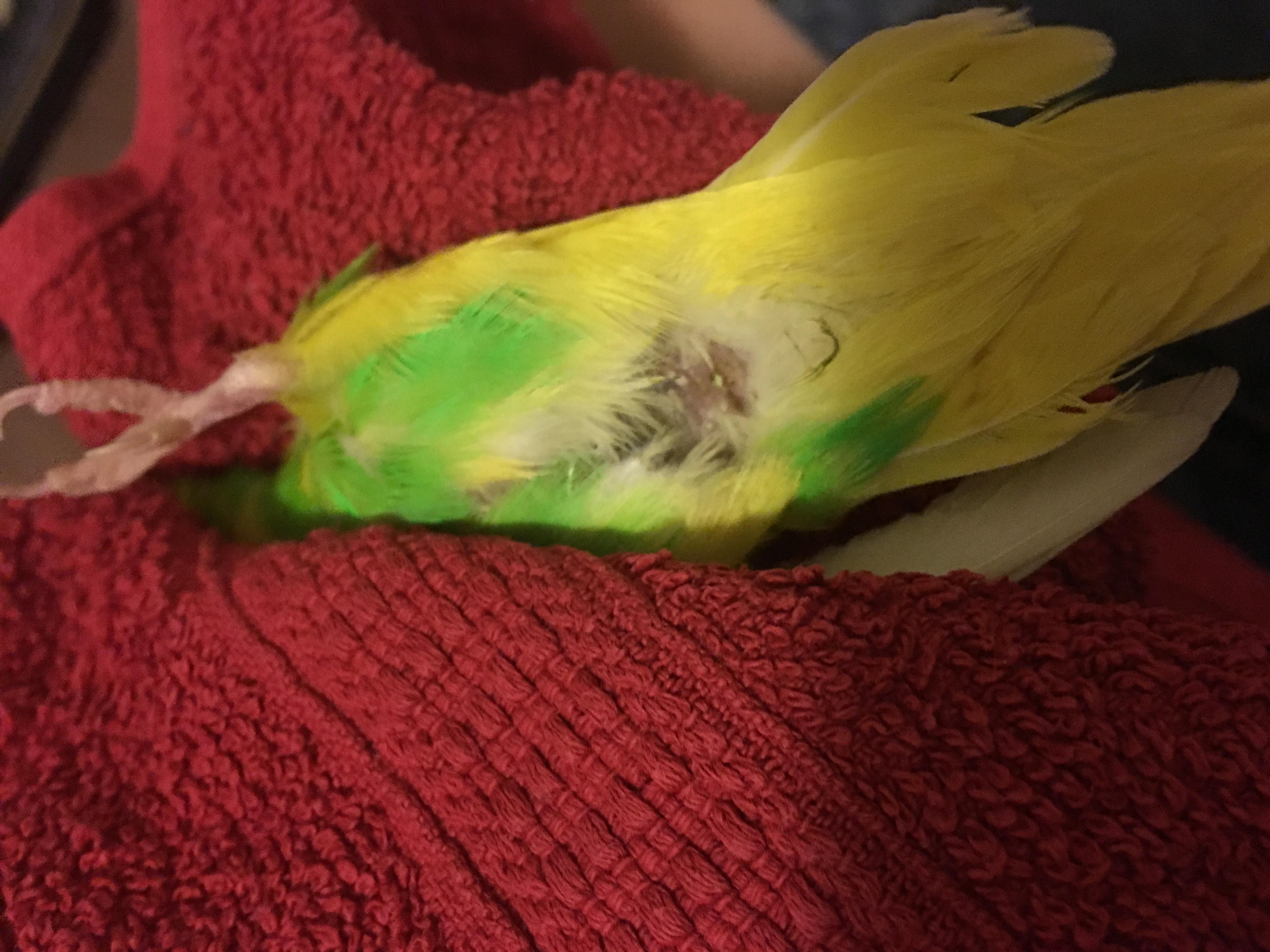 Question details sensitive content