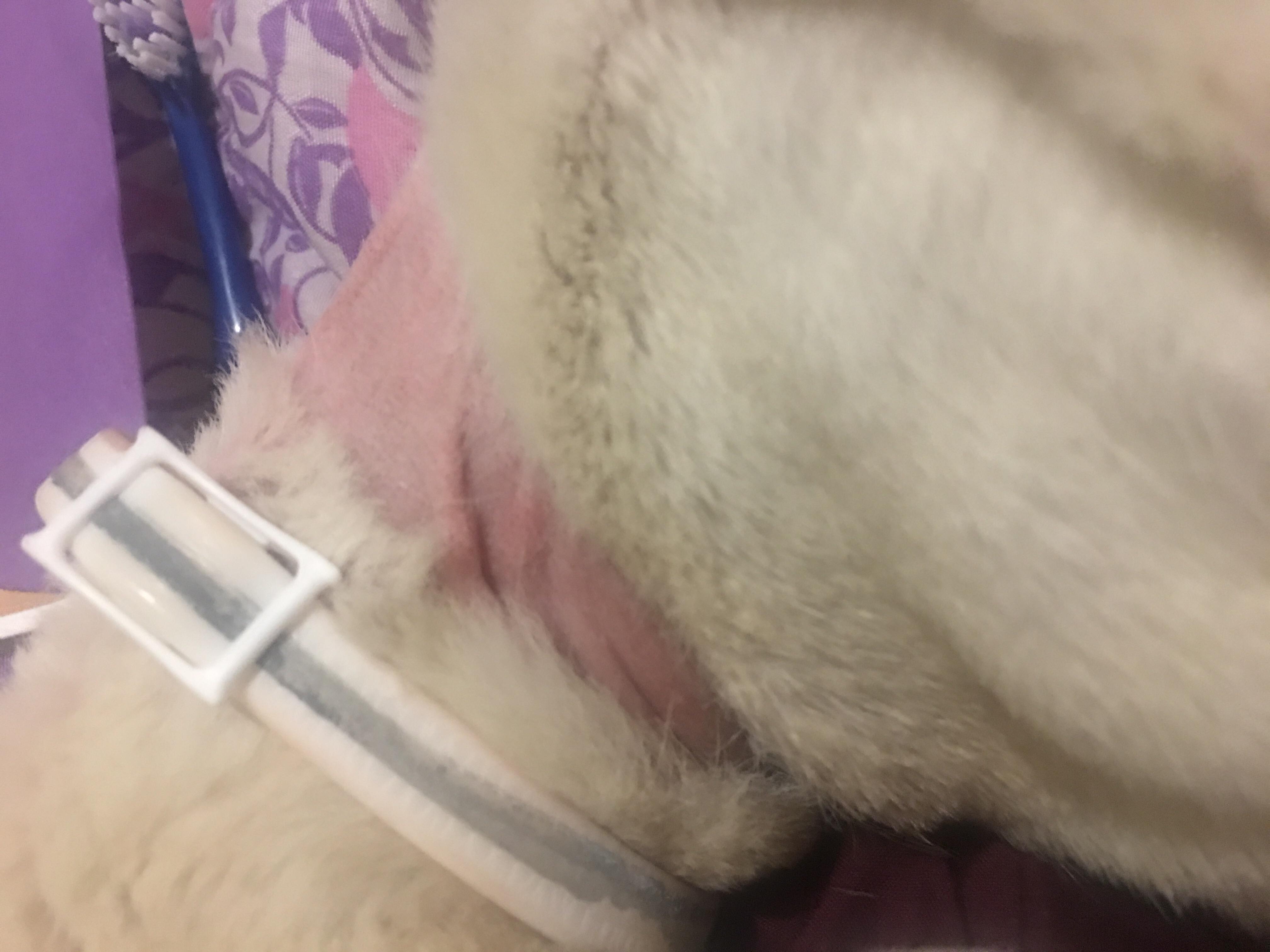 Question details sensitive content