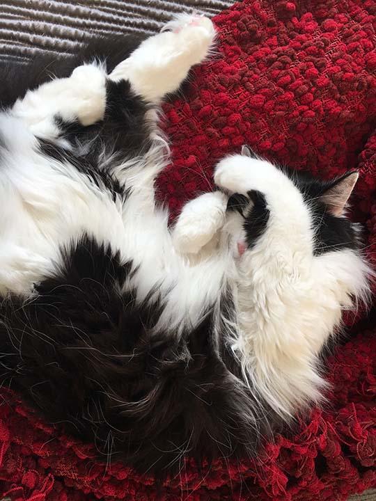 Question details sensitive content