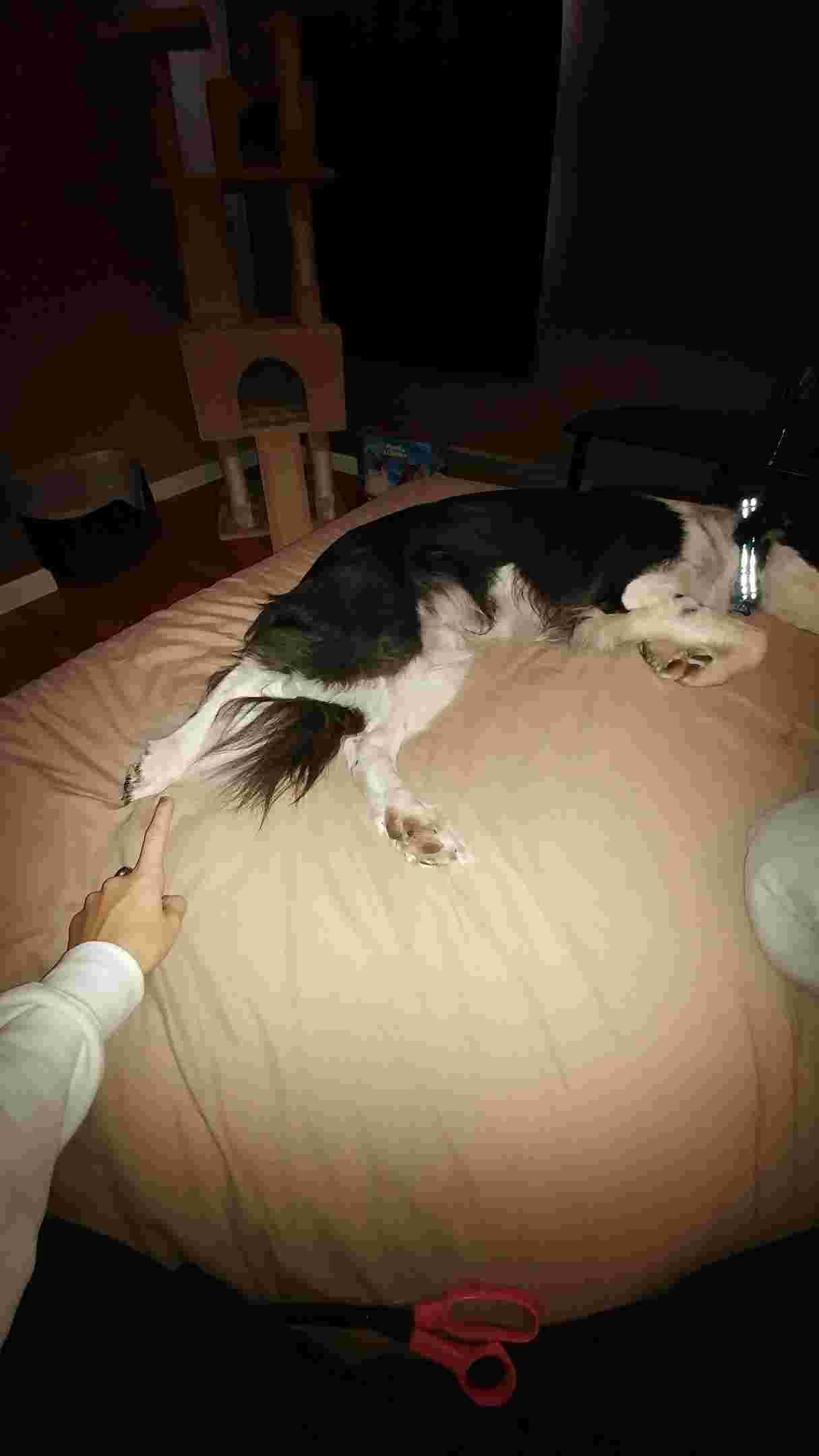 Question details sensitive content