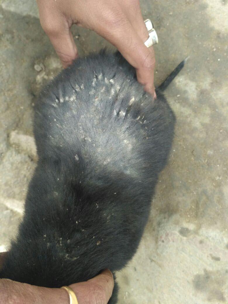 Question details sensitive content