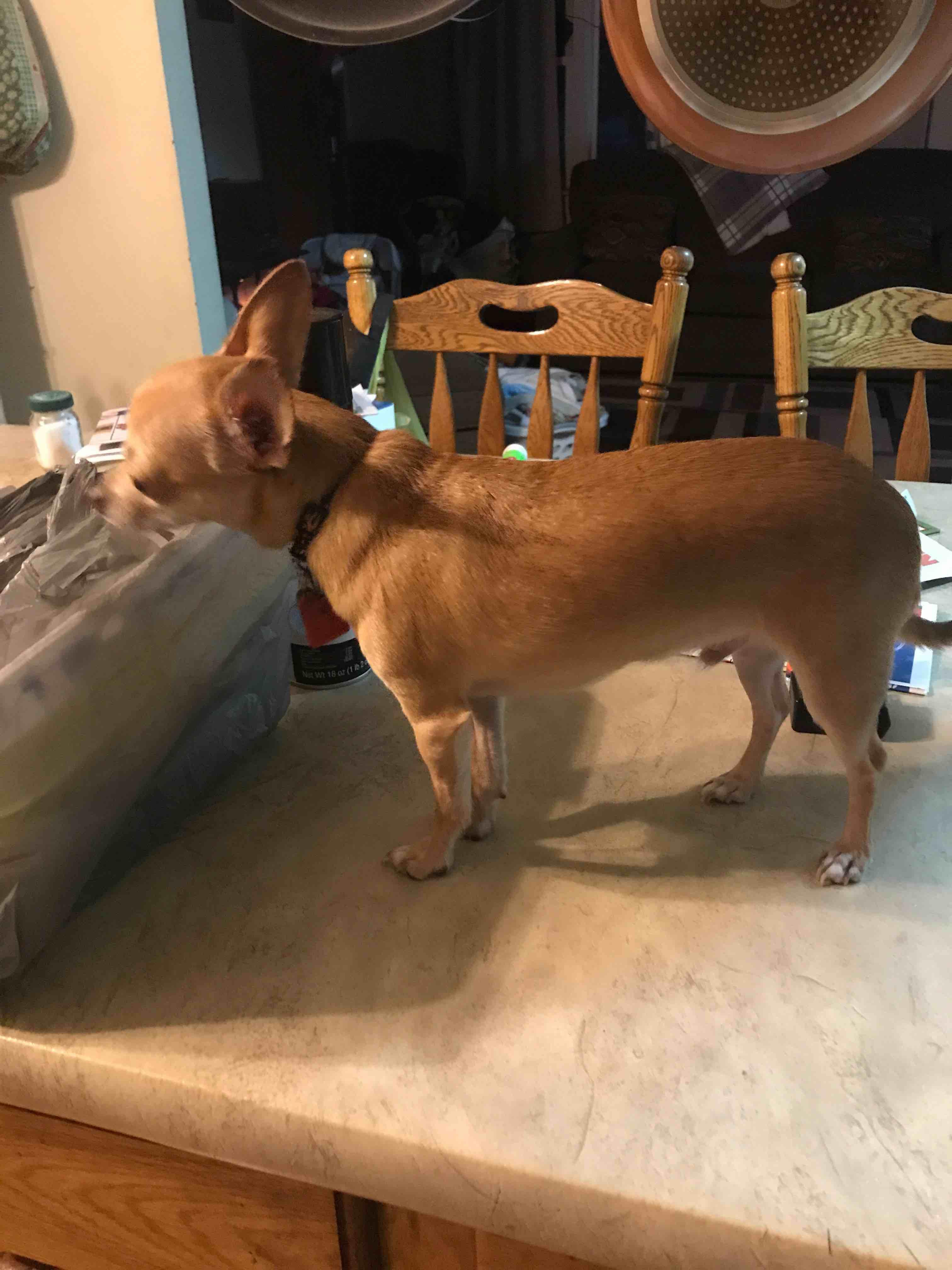 Question details sensitive content