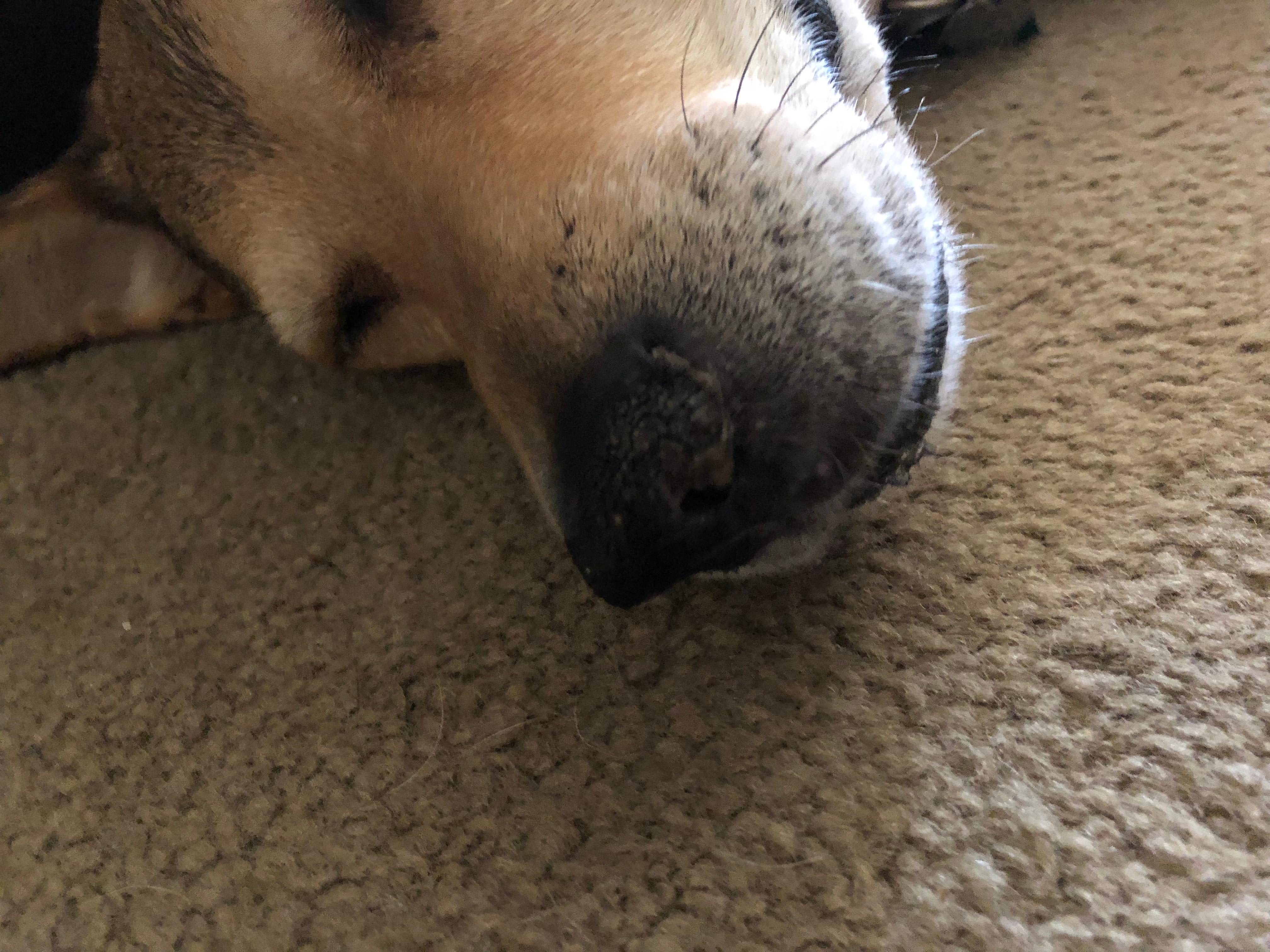 Question details sensitive content