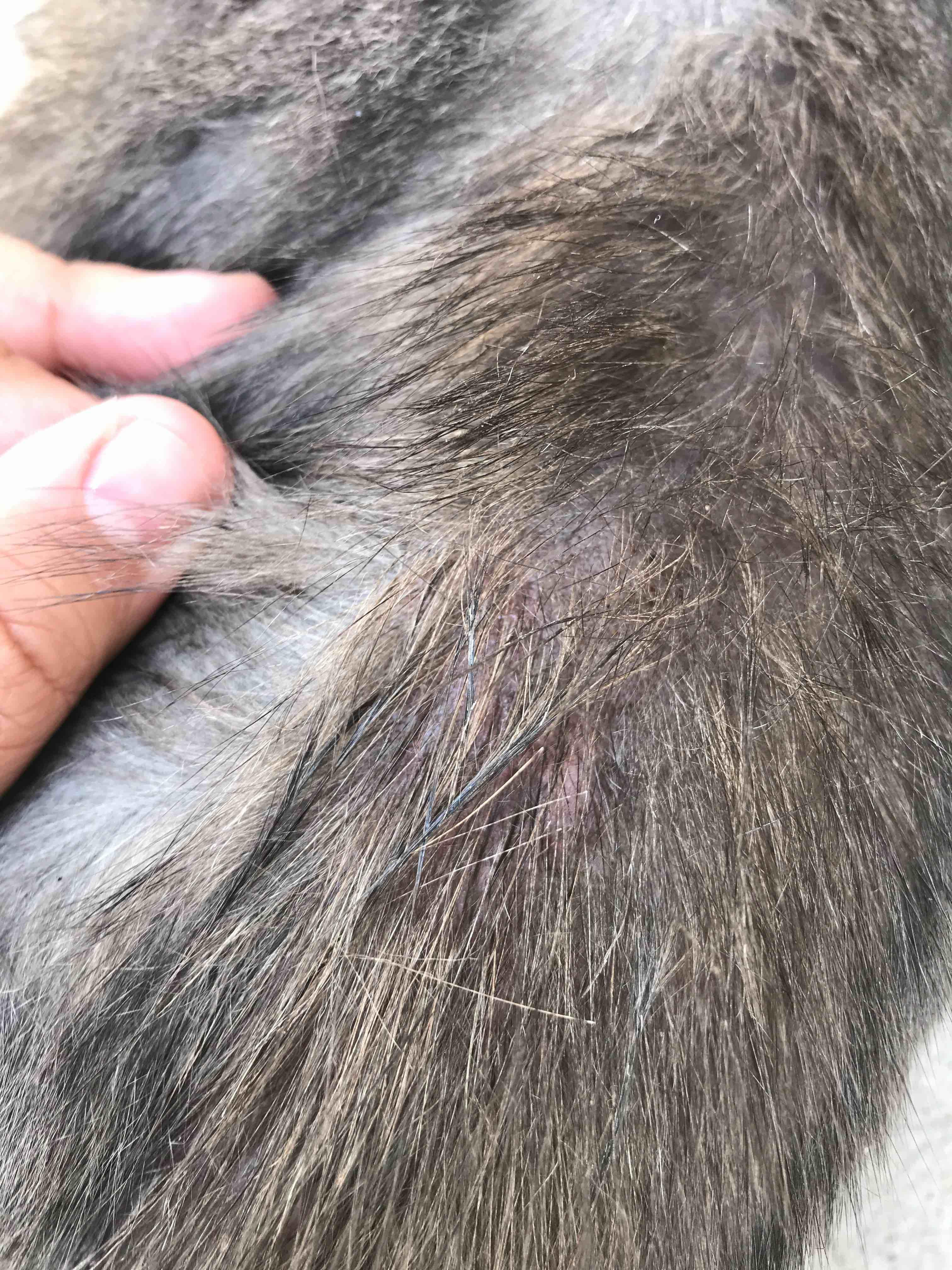 Question details sensitive content