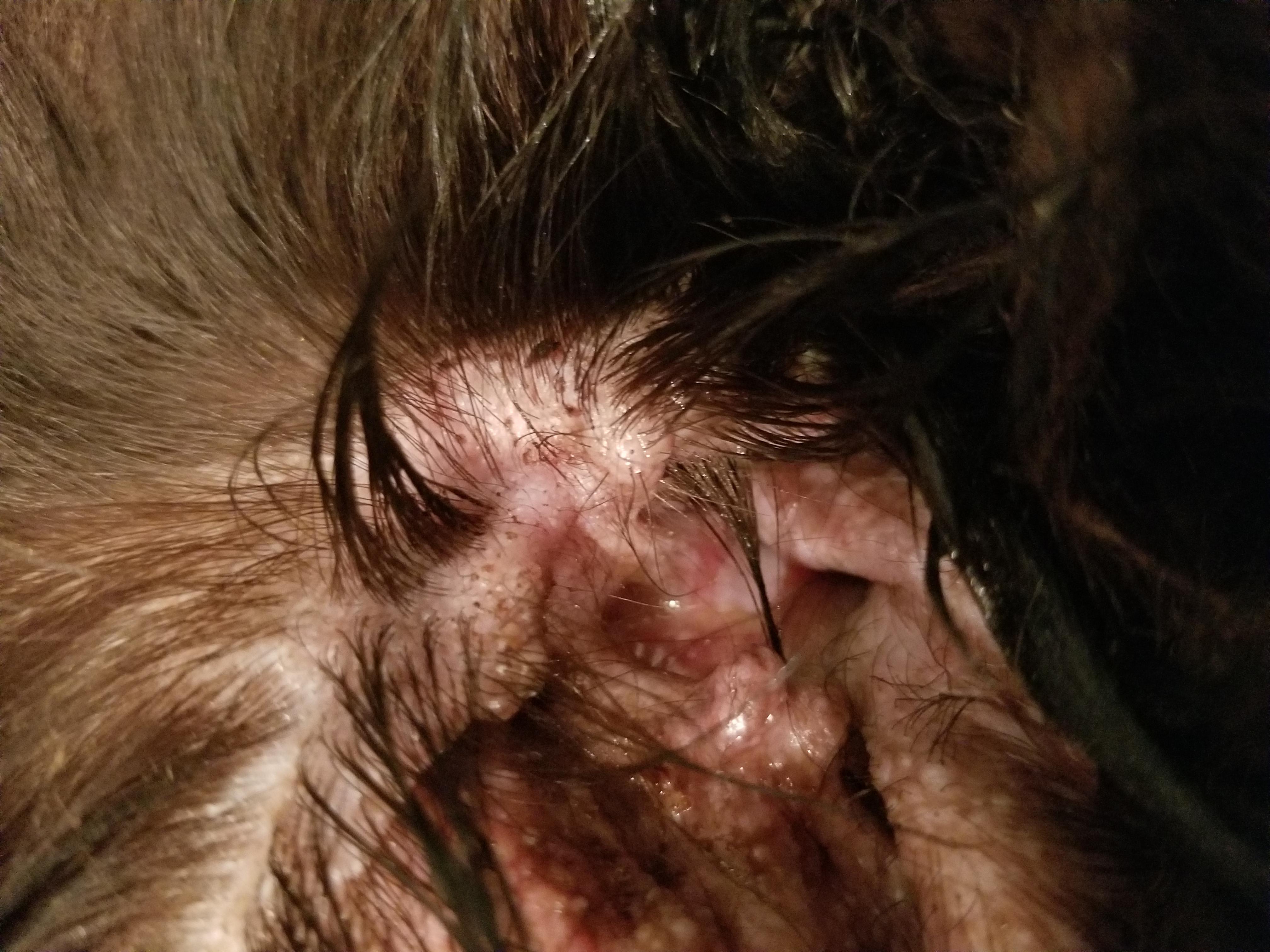 Question details sensitive content