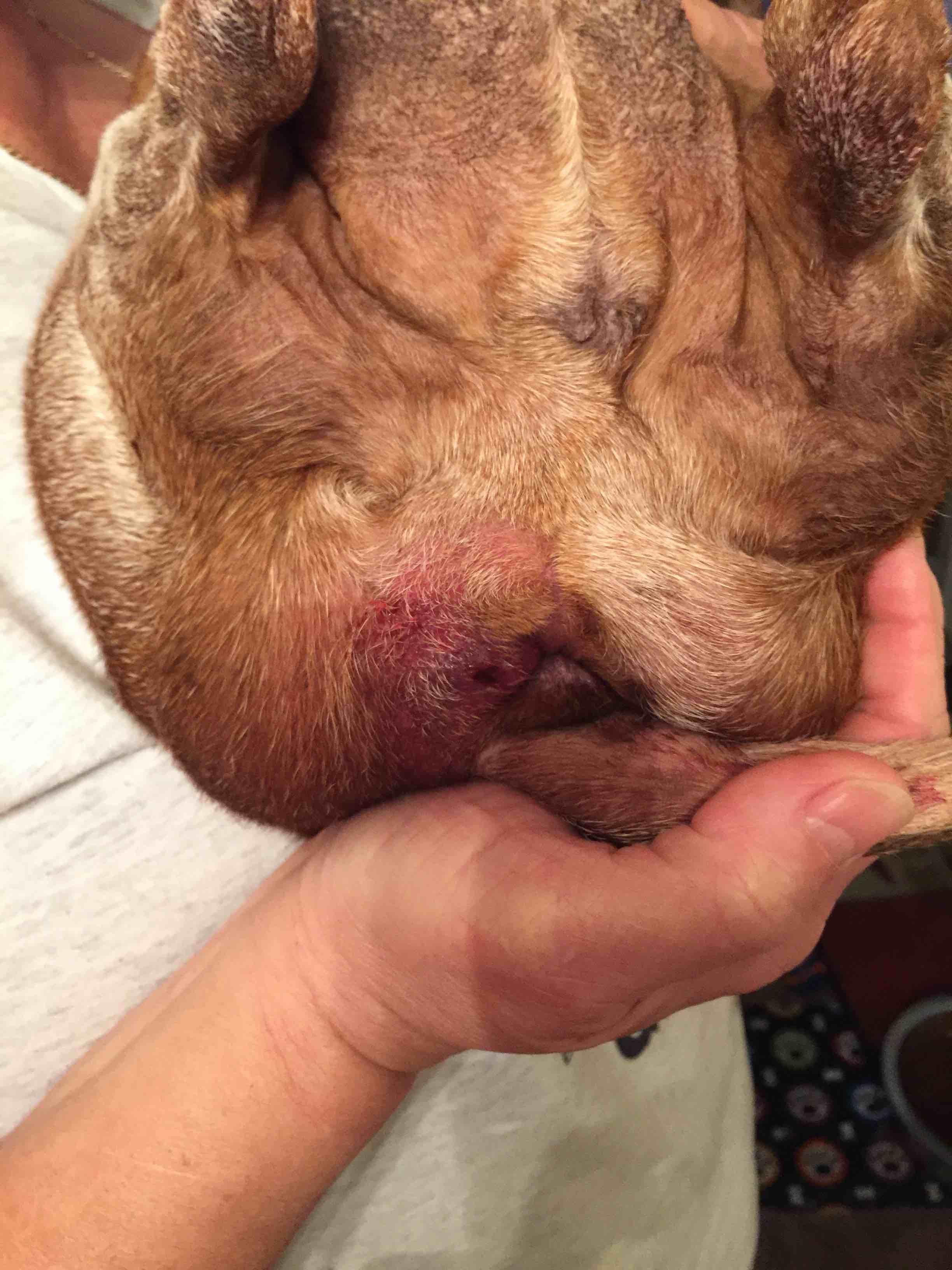 Question details sensitive content