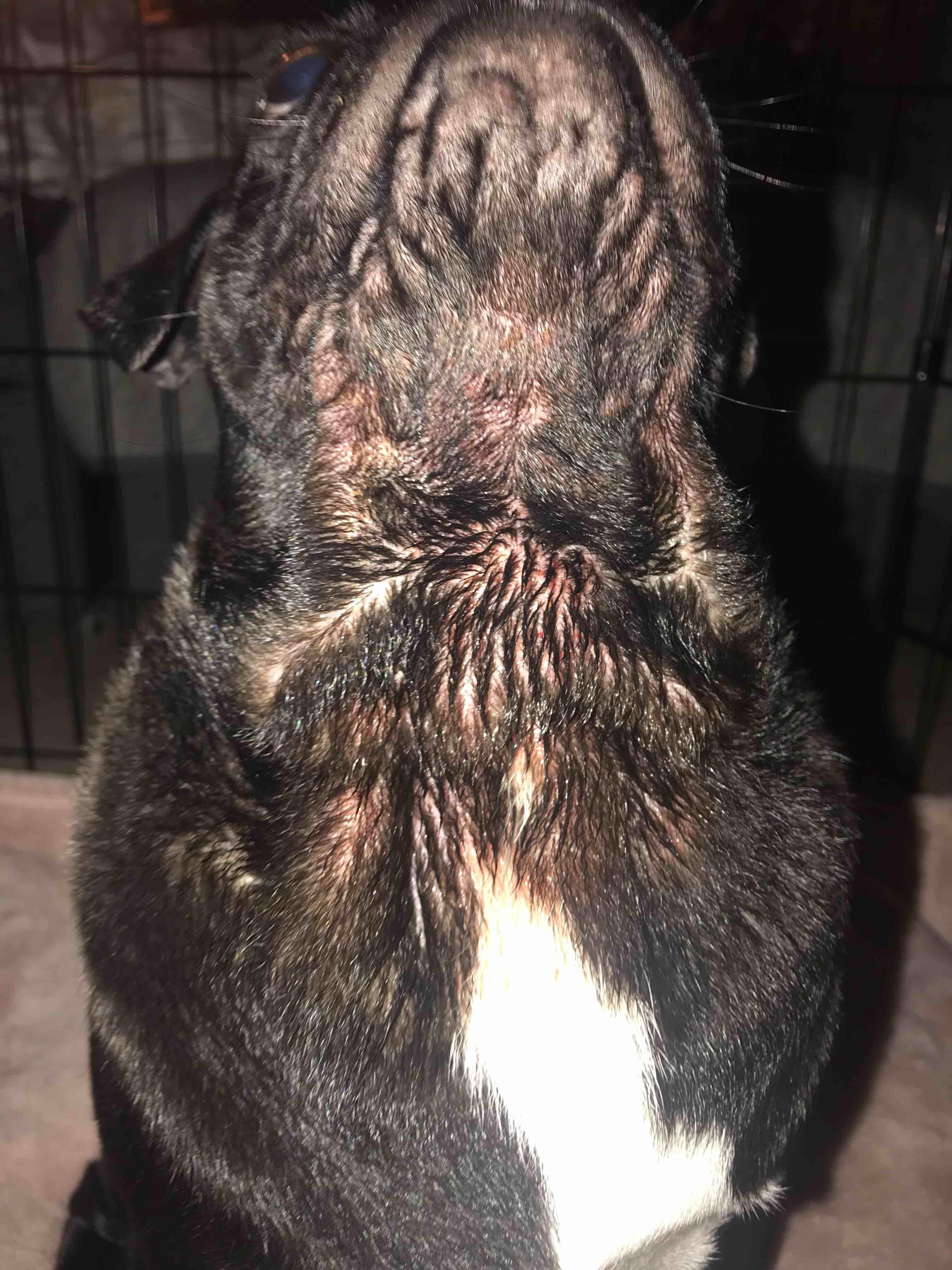 Question details sensitive content