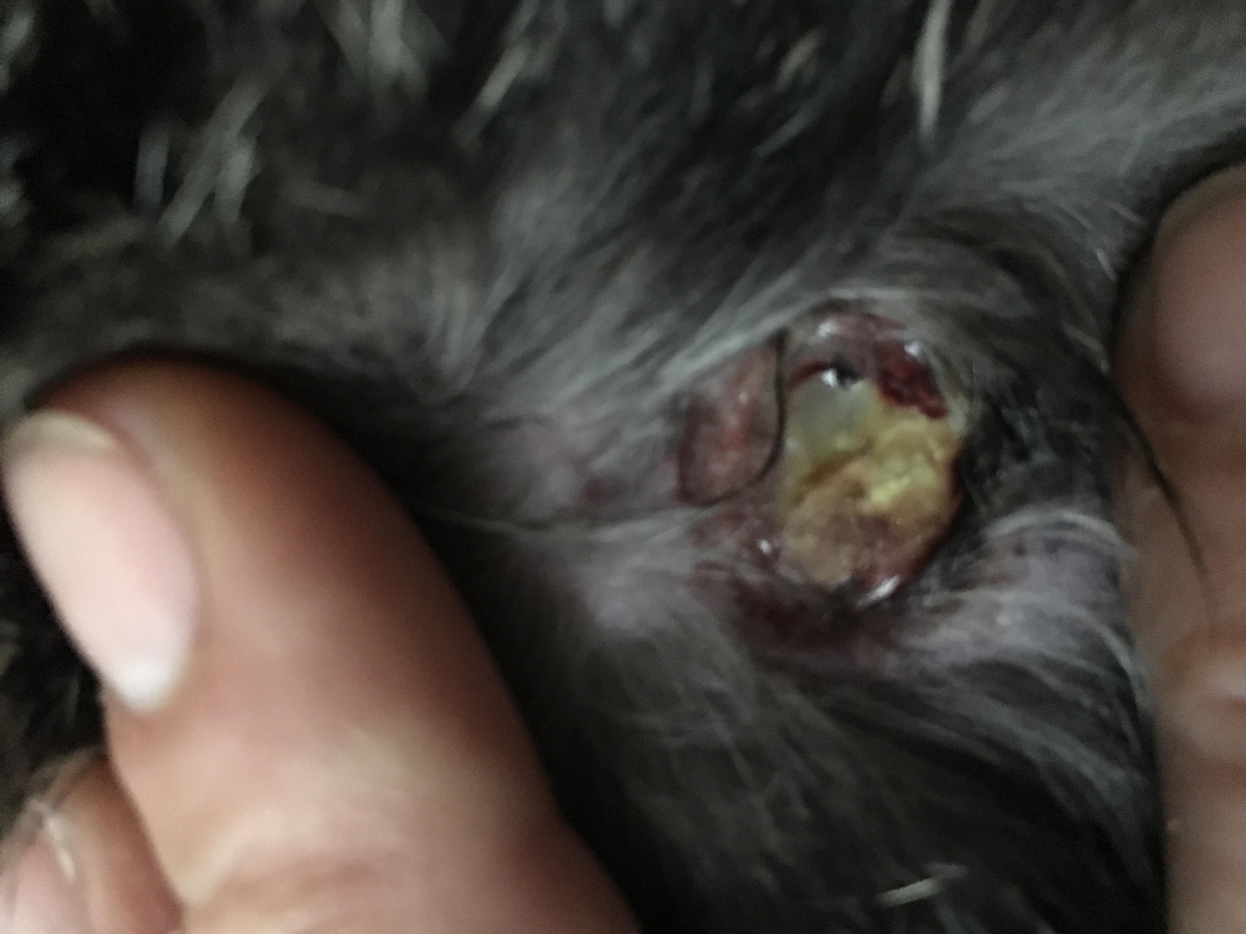 Question details sensitive content