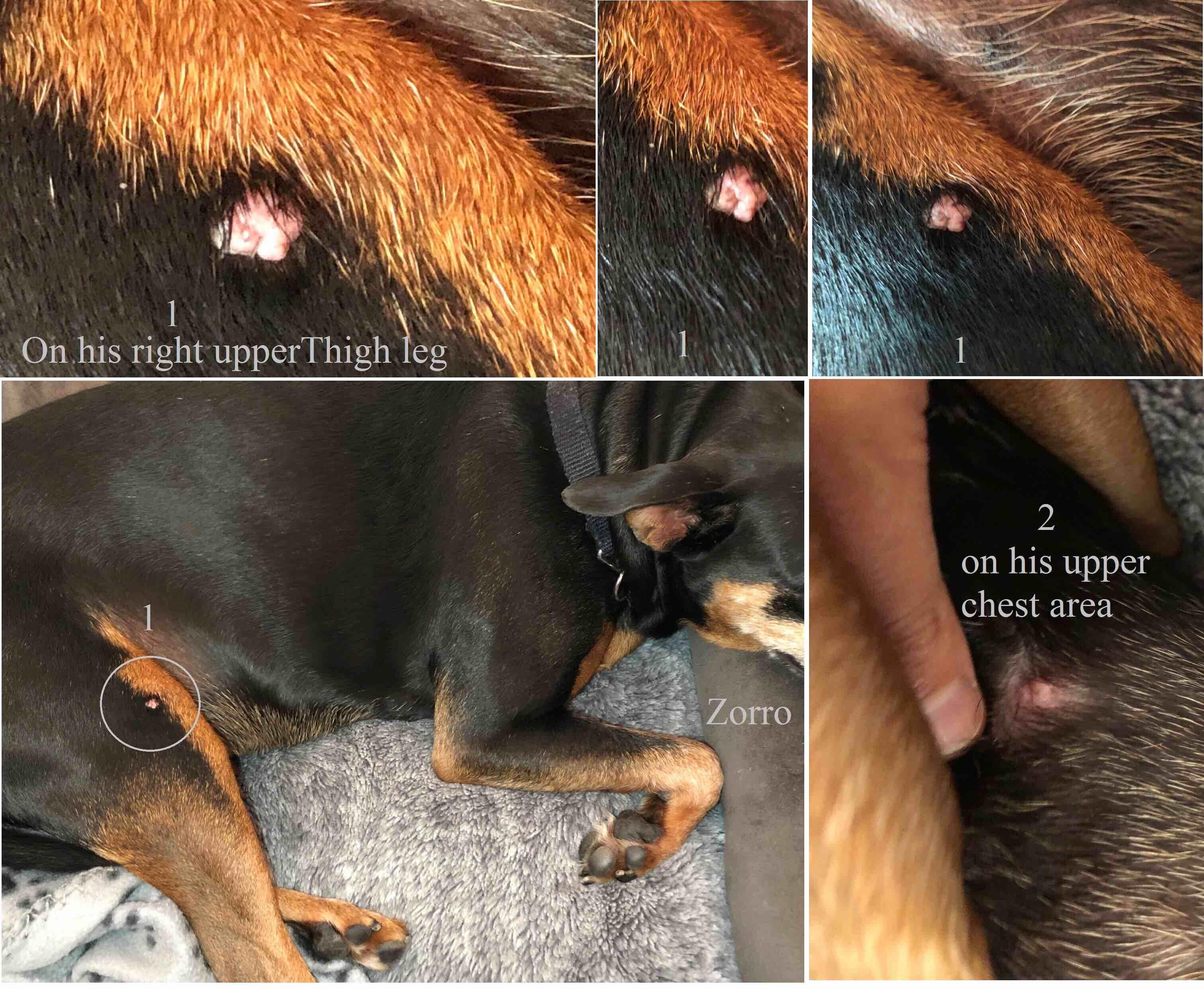 Question details sensitive content