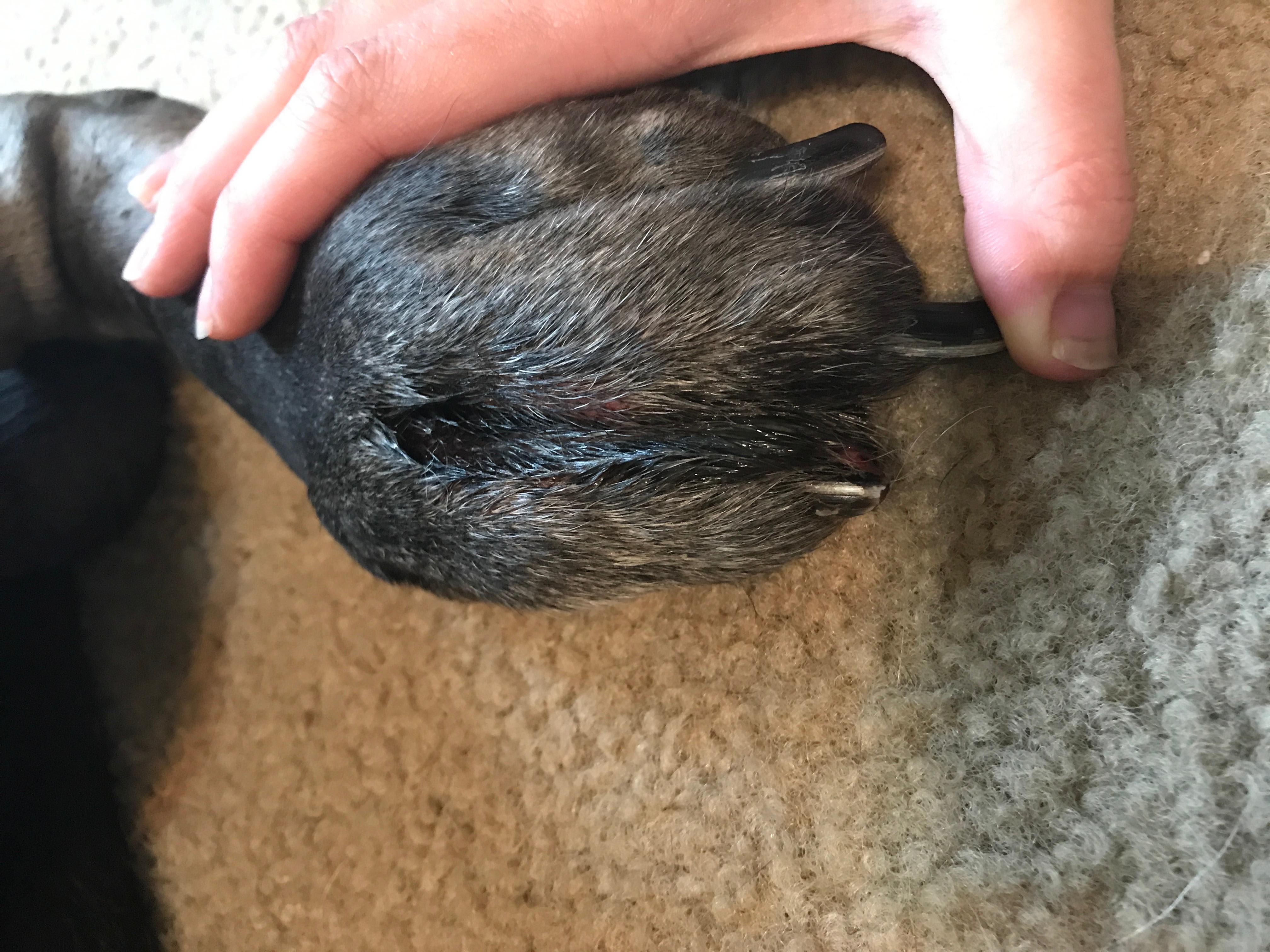 Question details sensitive content