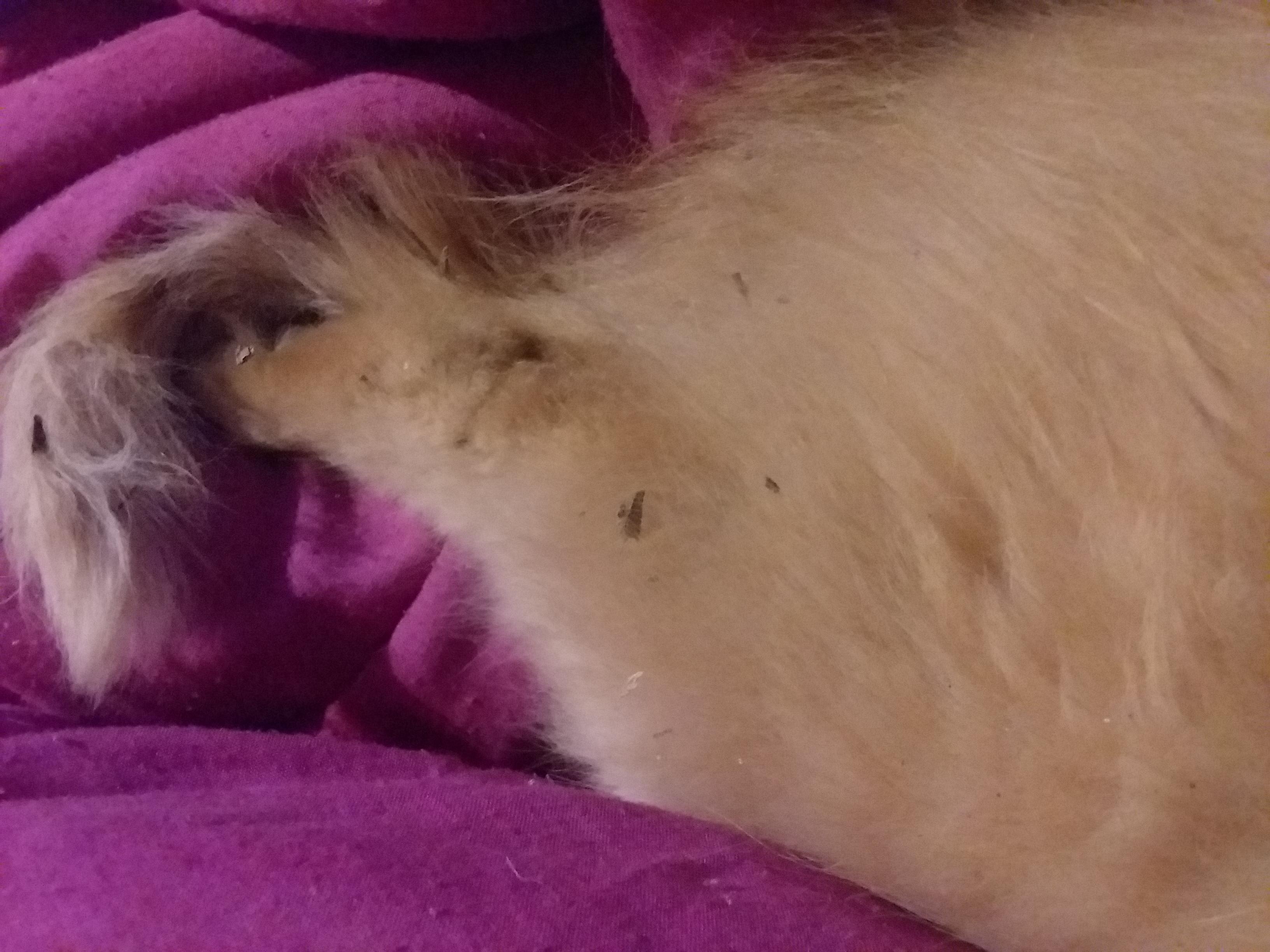 Question details sensitive content