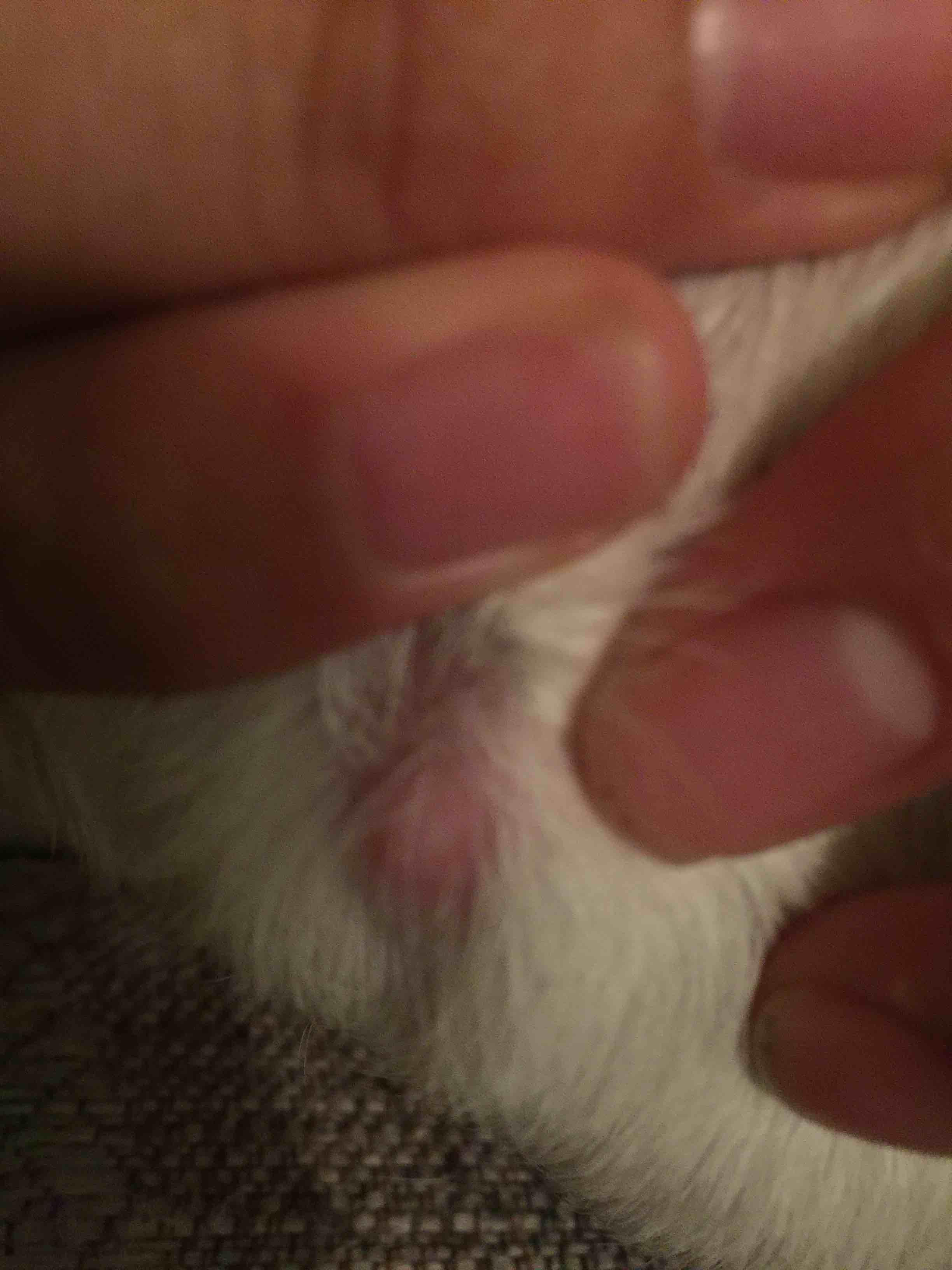 Question details sensitive content