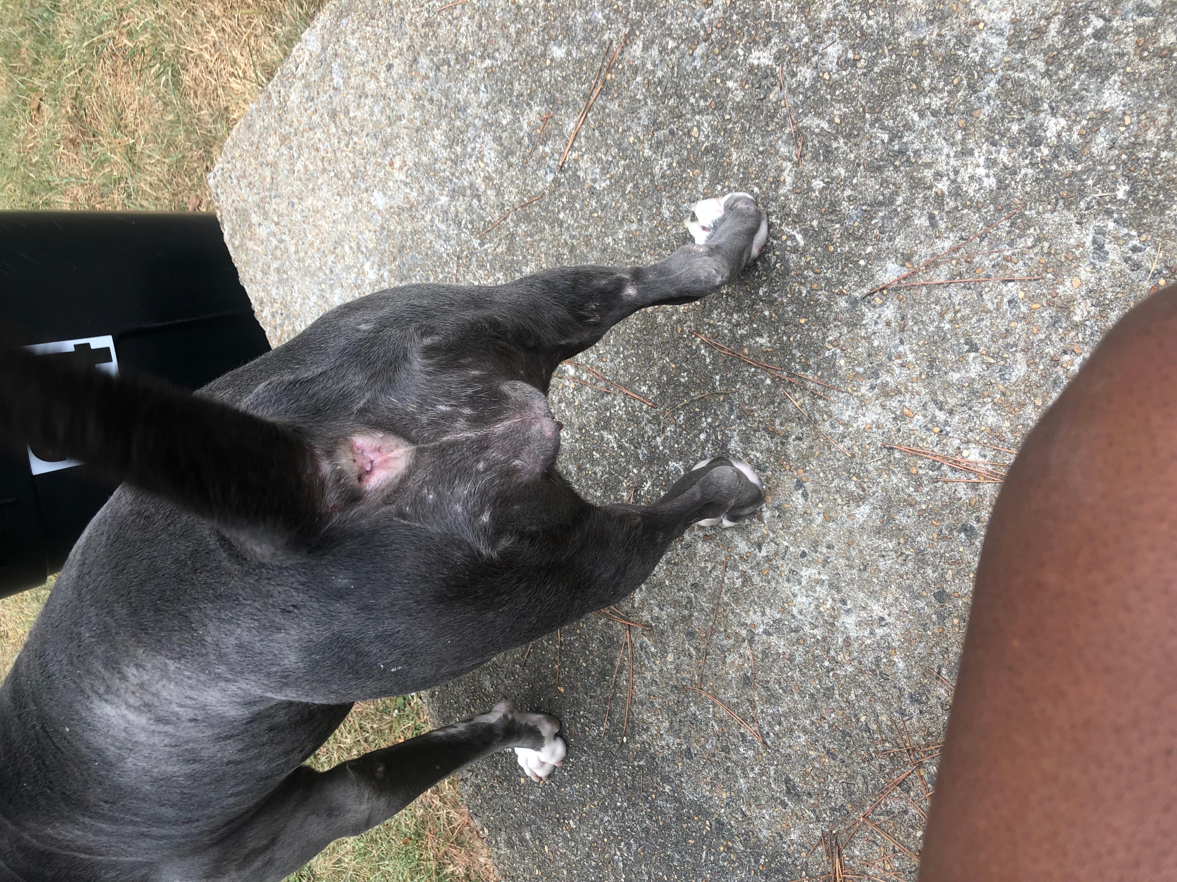 Question details sensitive content