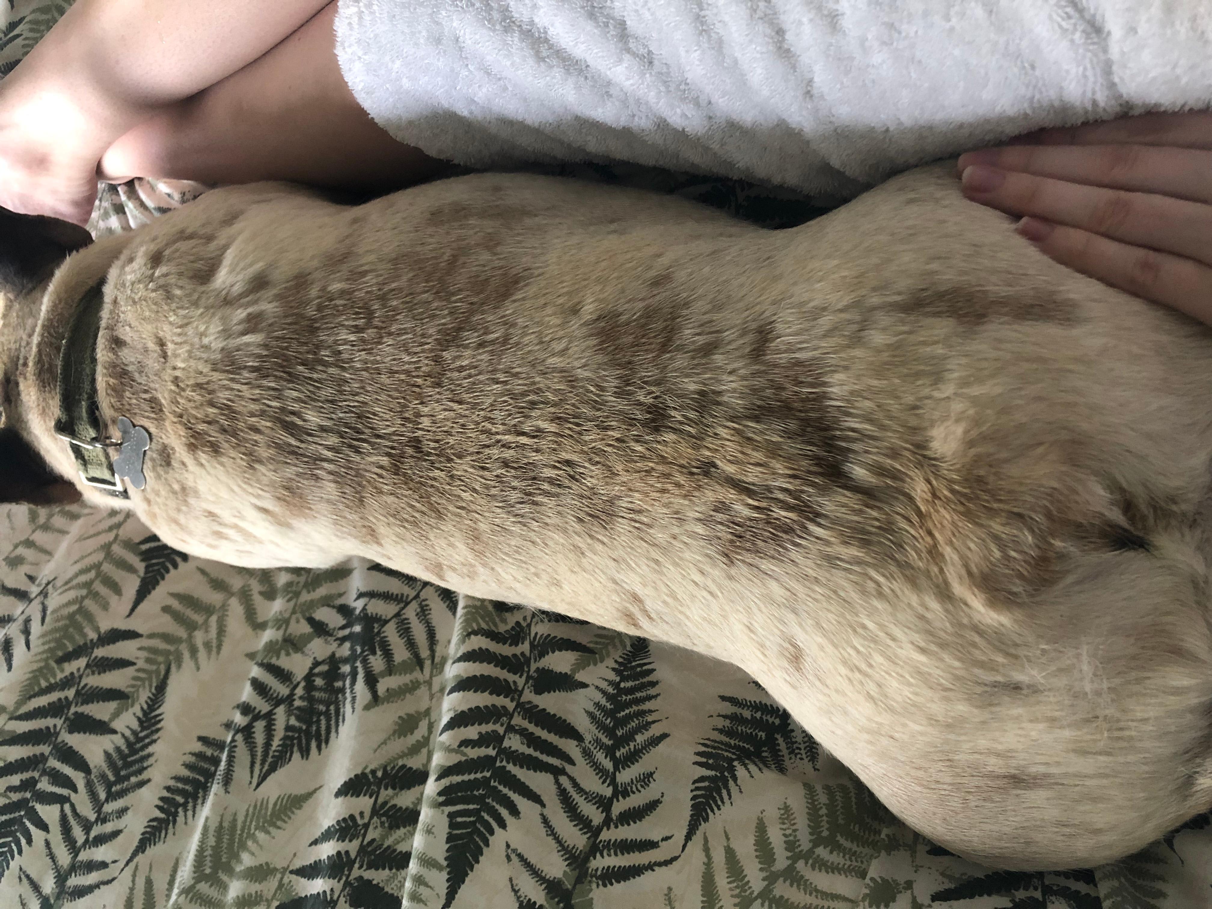 Question details sensitive content