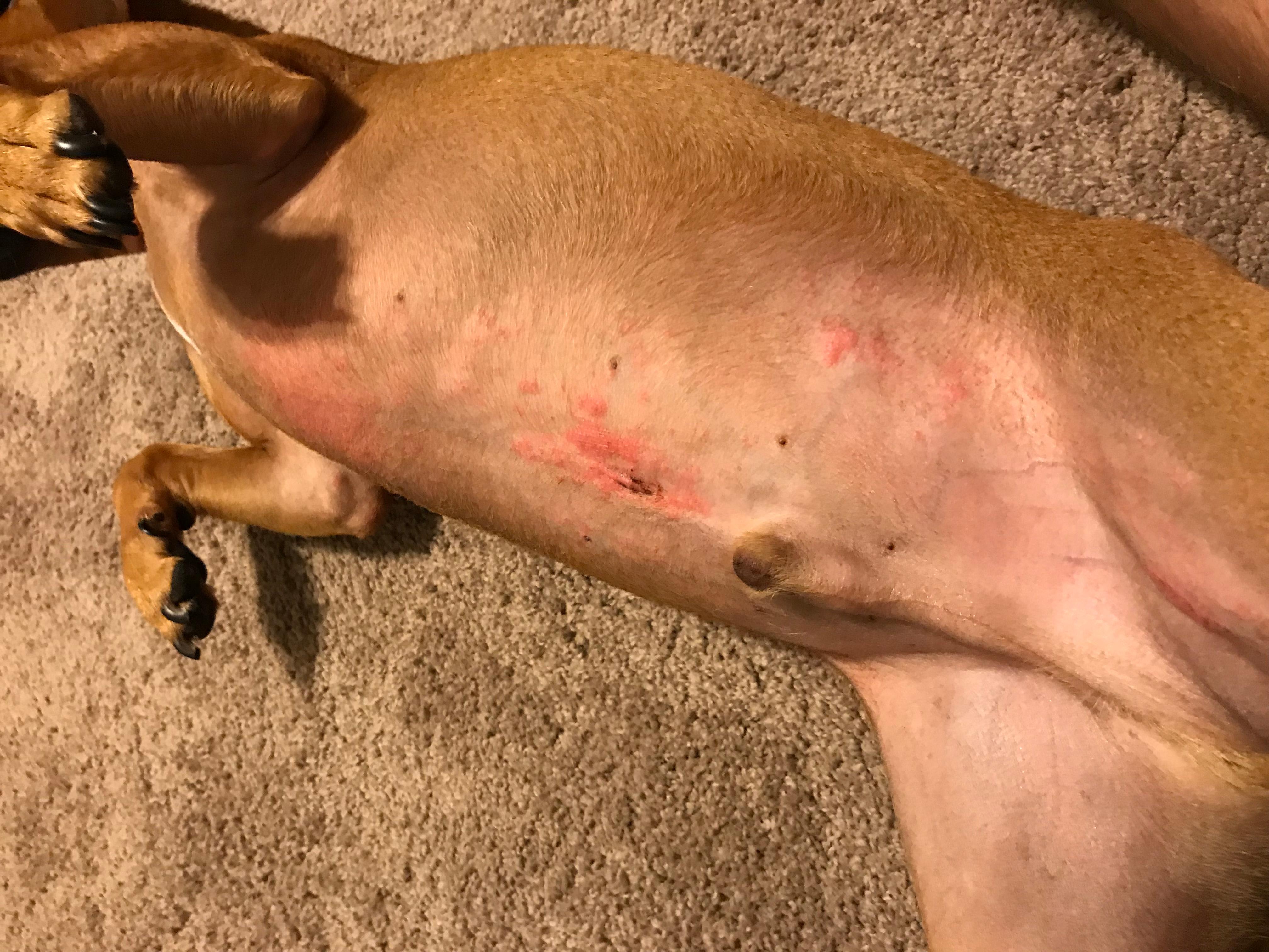 Question details sensitive content