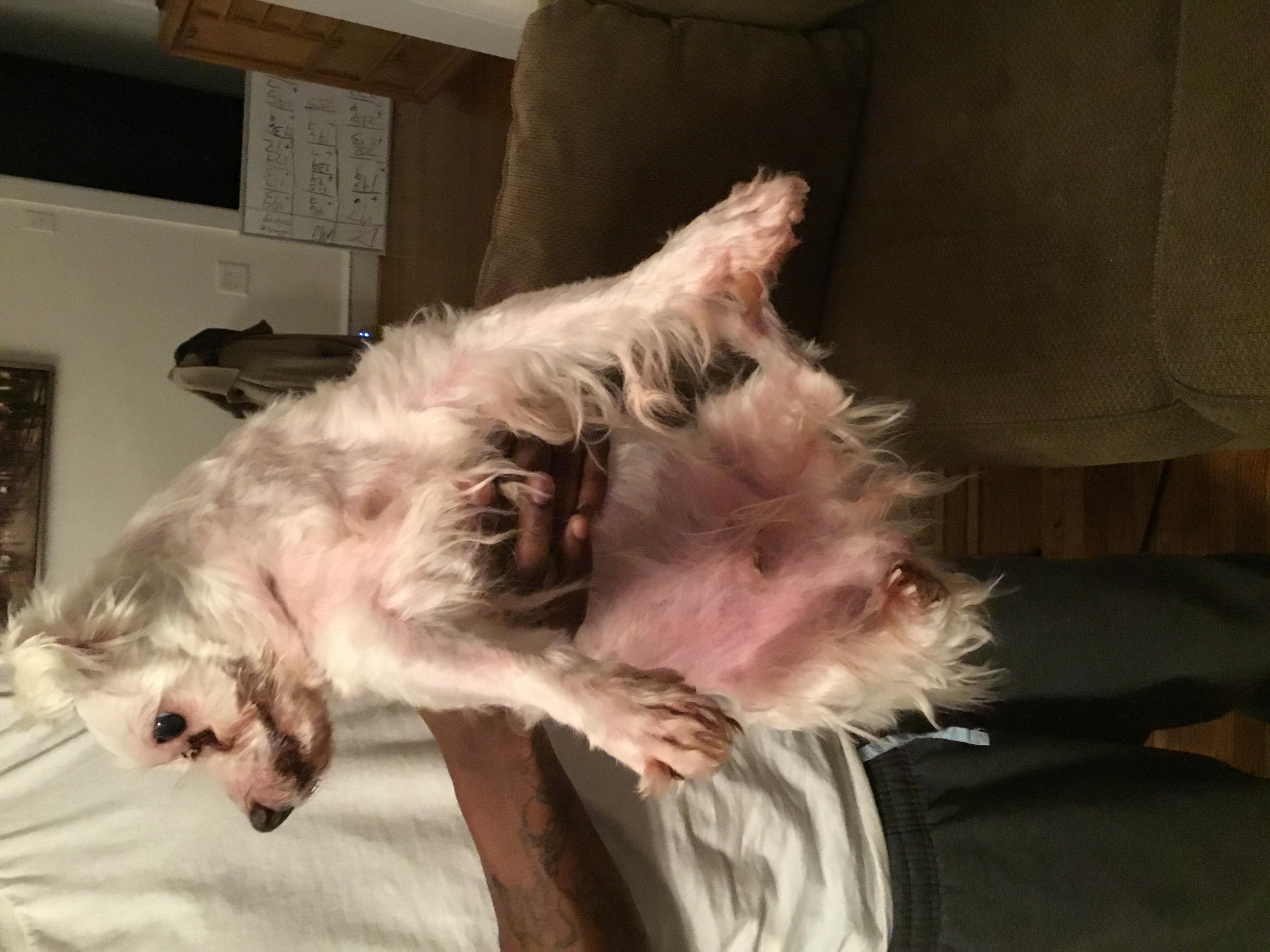 Question details sensitive content