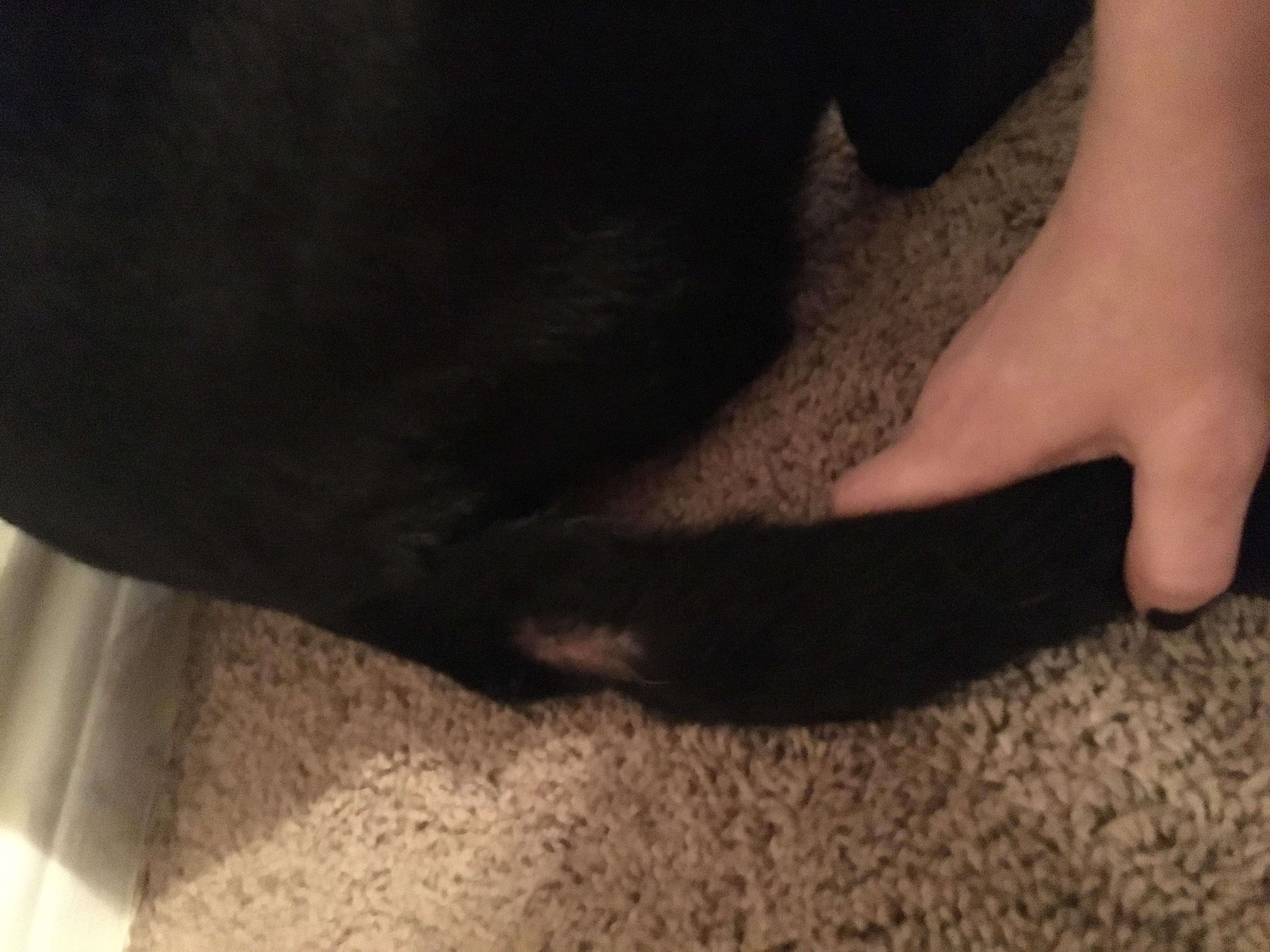 Question details sensitive content