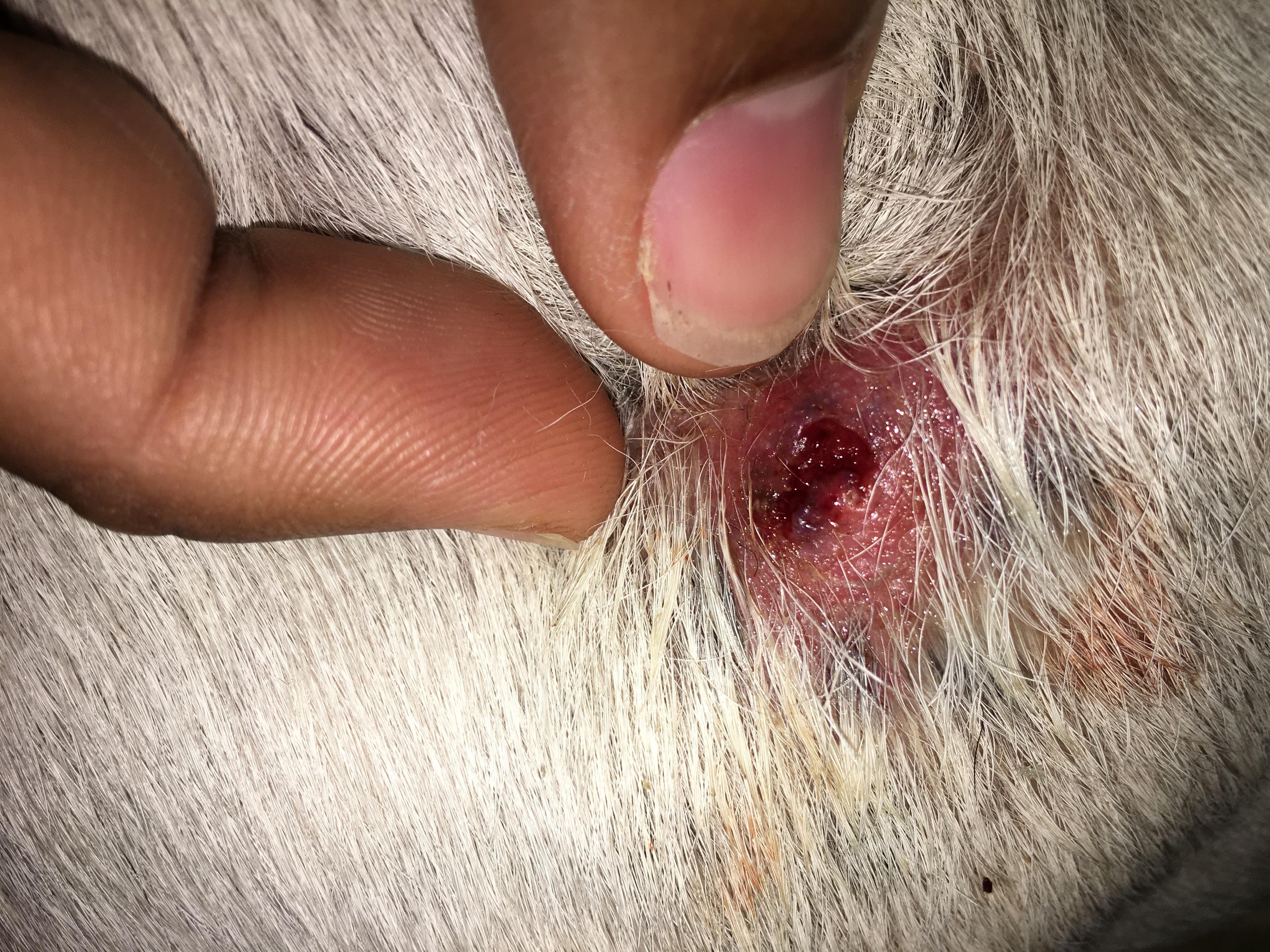 Question details sensitive content